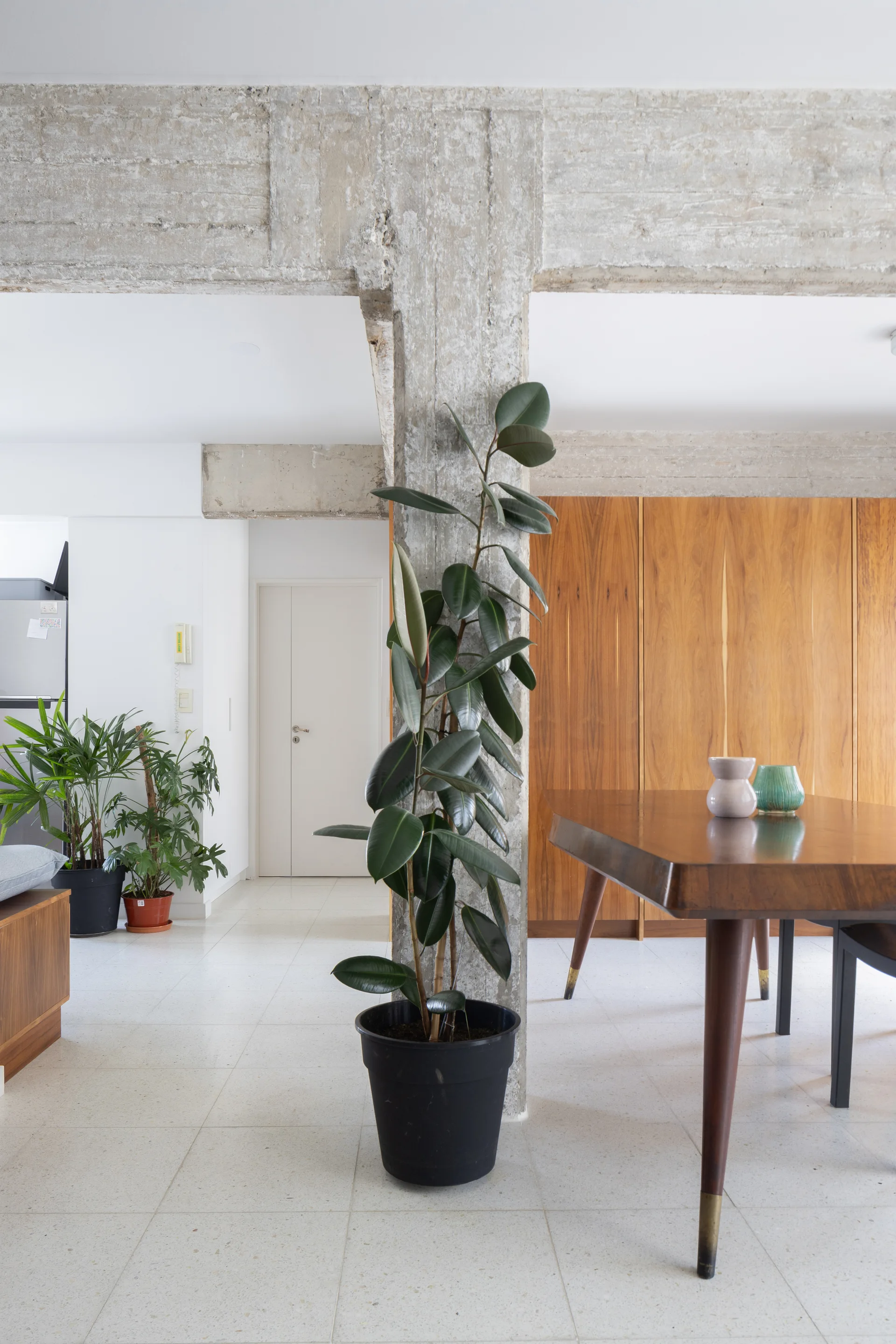 A dining area features a raw concrete pillar with a potted rubber plant next to a wooden table and a warm wood-paneled back wall.