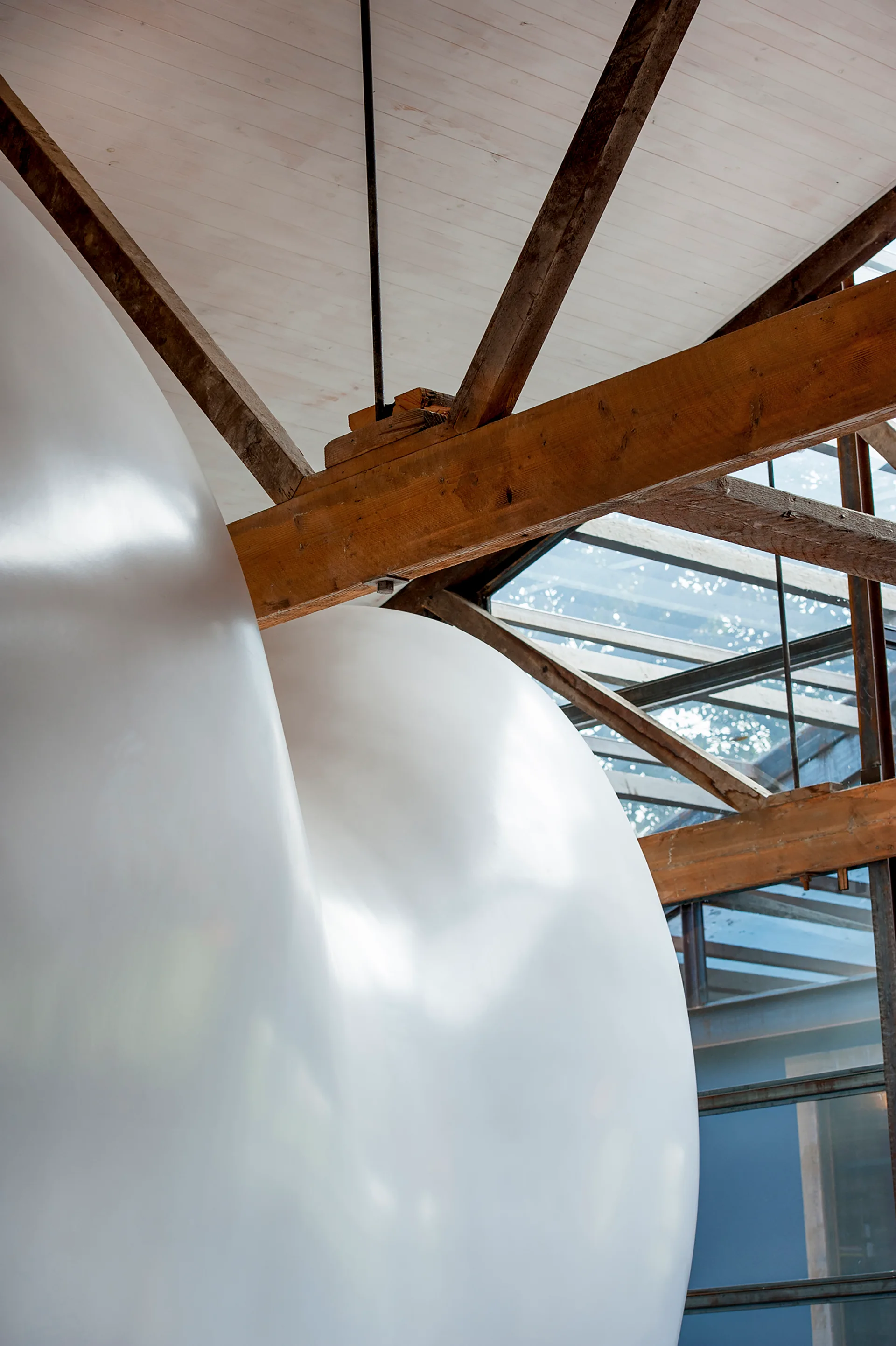 A large, smooth white curved sculpture sits beneath rough-hewn timber ceiling beams and a metal-framed glass skylight.