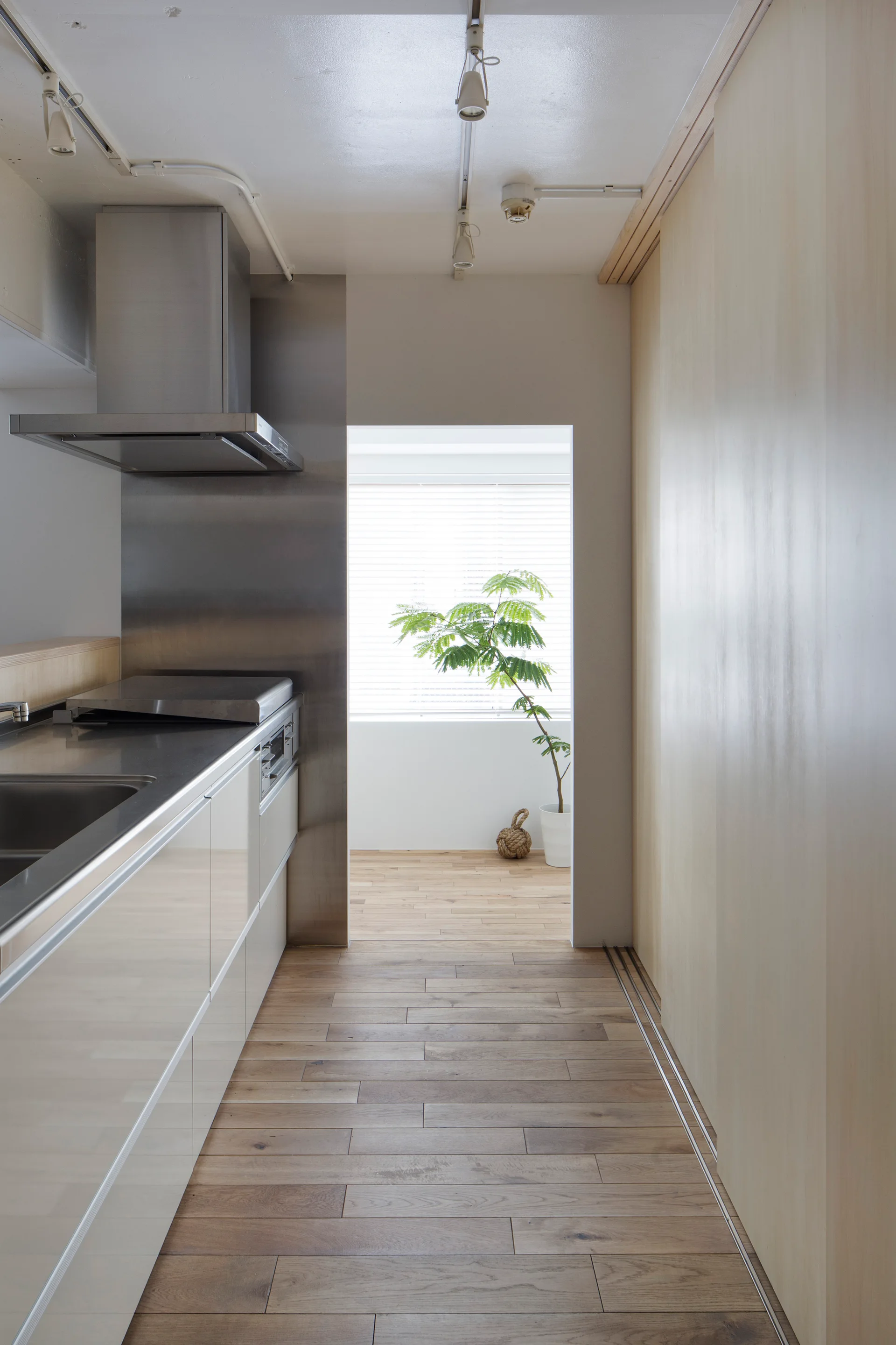 A minimalist galley kitchen features glossy white cabinets, a stainless steel range hood, and light-toned wood flooring leading to a sunlit doorway.