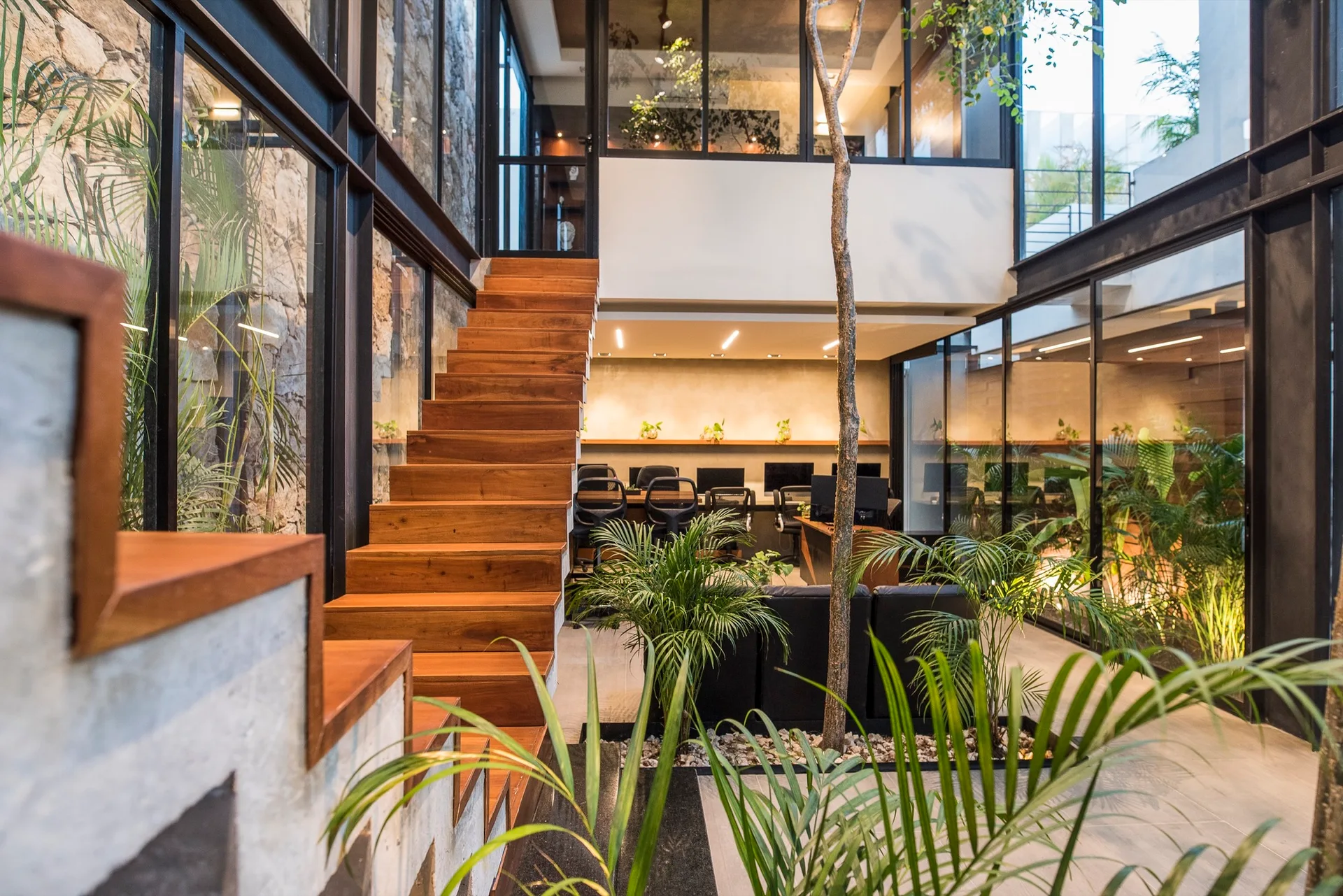 A multi-level interior featuring a warm wooden staircase, glass walls, a slender indoor tree, and black steel structural beams.