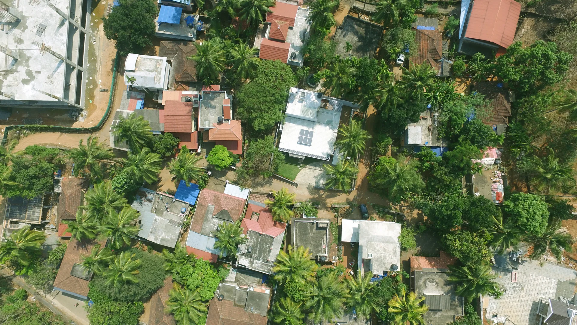 An aerial drone view shows residential homes with clay tile and flat roofs nestled among dense green palm trees.