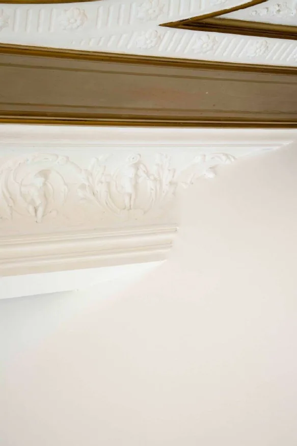 A close-up of white plaster ceiling molding featuring ornate relief carvings and gold trim accents above a solid painted wall.