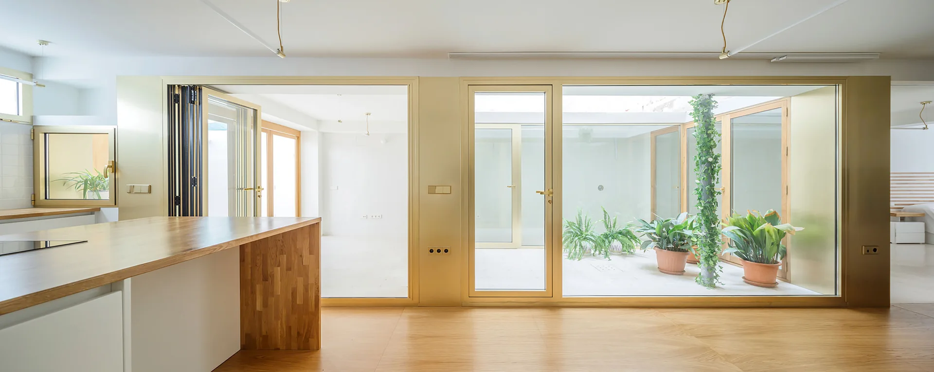 A modern minimalist kitchen features a wood island and large gold-framed glass doors opening onto an interior courtyard filled with potted plants.