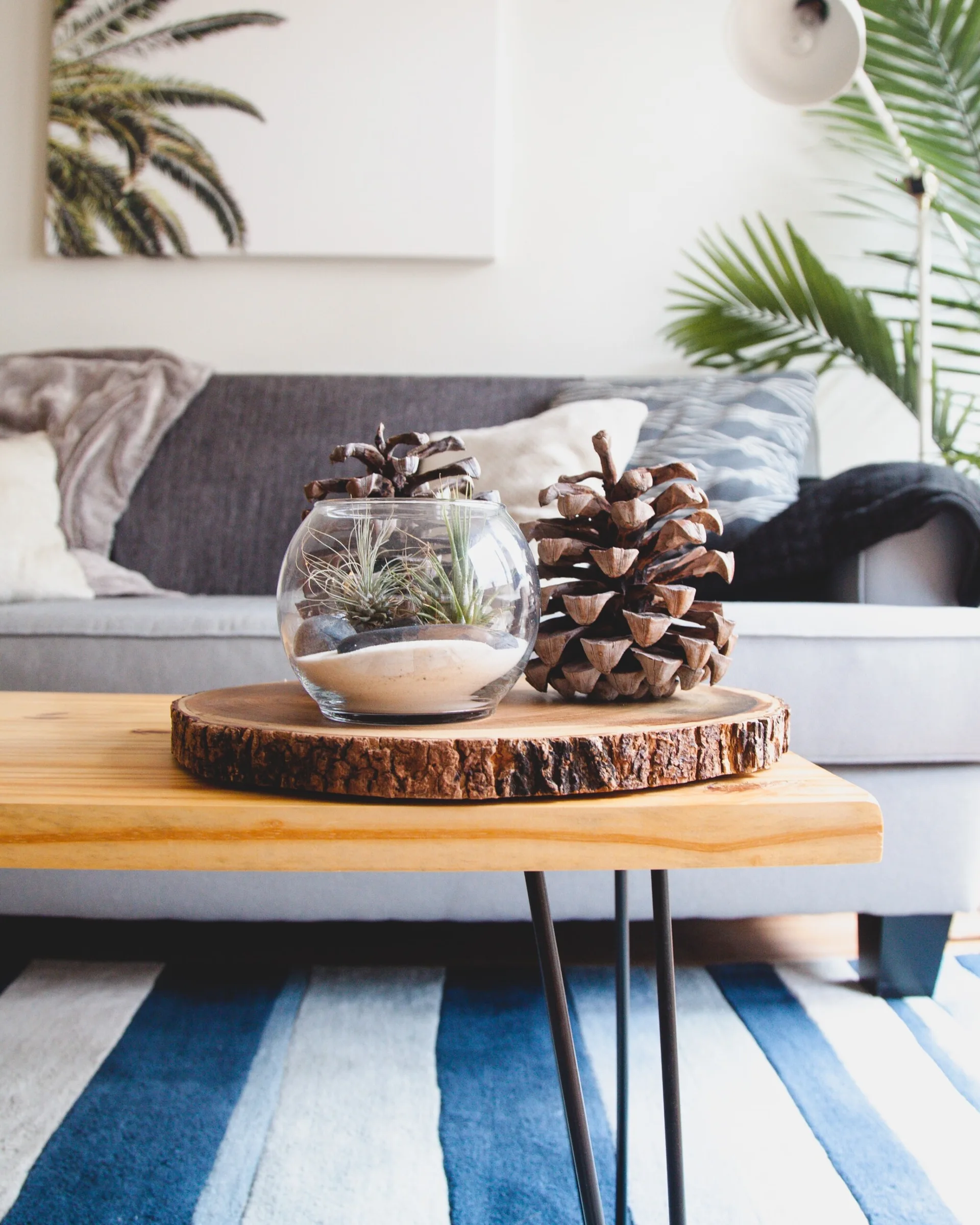 A light wood coffee table with hairpin legs features a wood slice tray holding a small glass terrarium and two pinecones in front of a grey sofa.