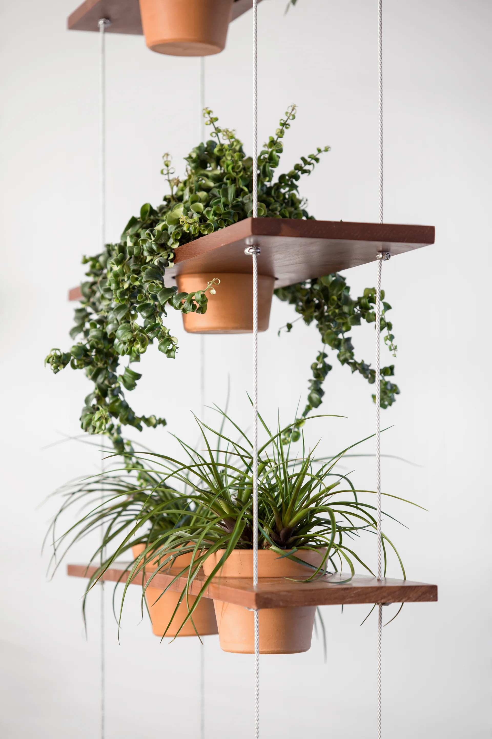 A multi-tiered hanging wooden shelving unit suspended by thin cables holds green plants in terracotta pots against a plain white wall.