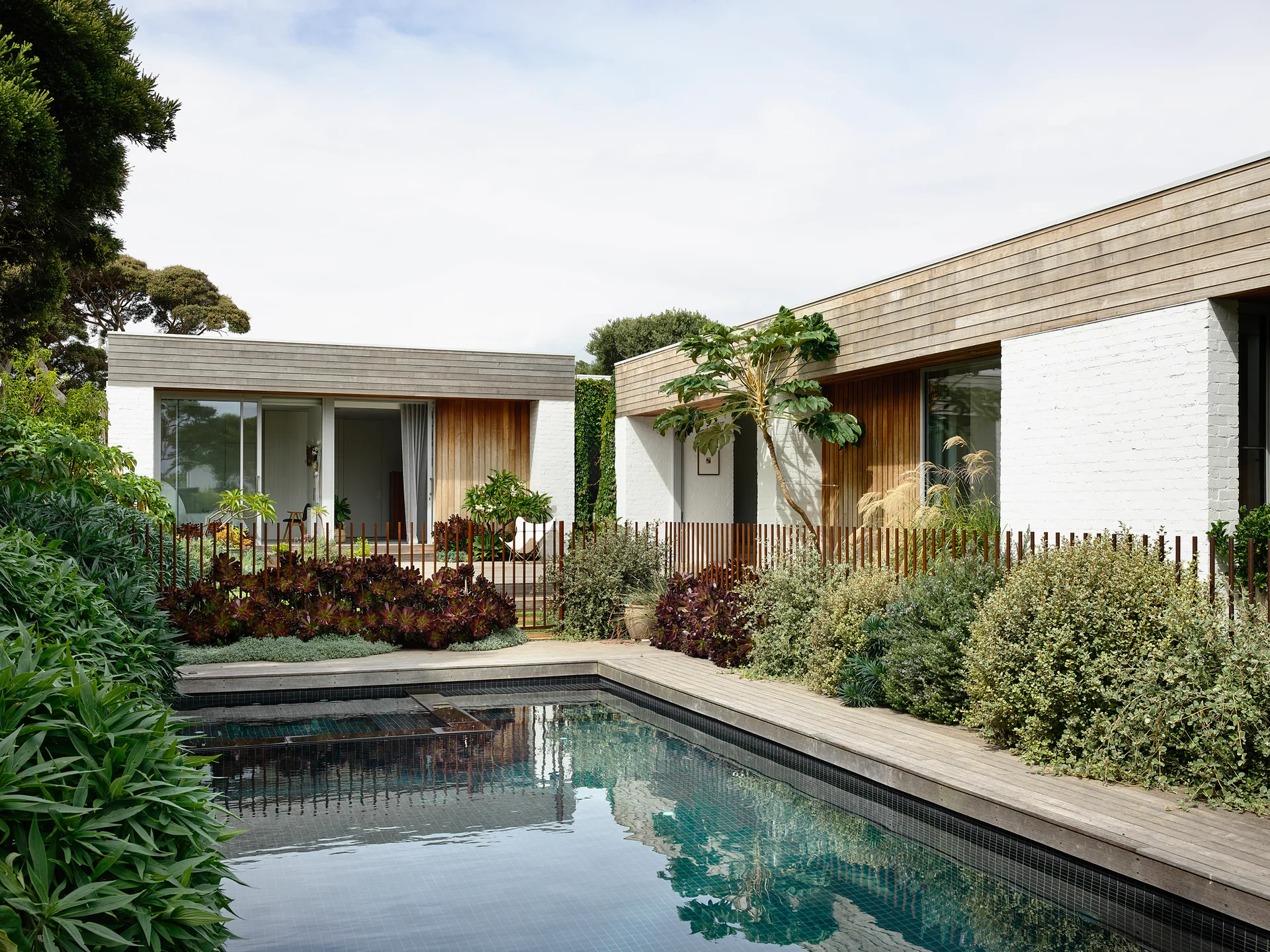 A rectangular swimming pool is surrounded by weathered wood decking, a thin metal slat fence, and a modern white brick house with wood cladding.