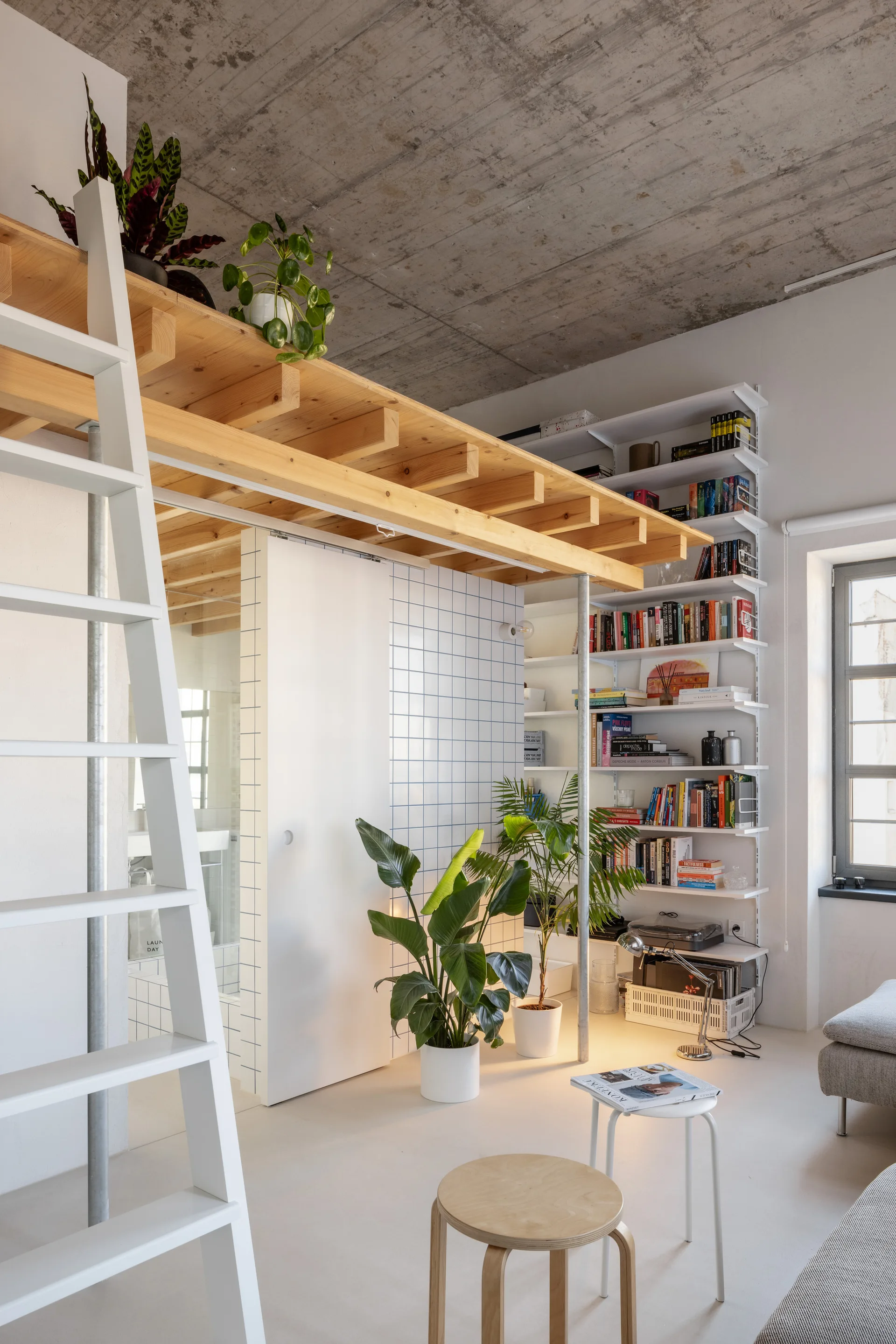 A modern loft apartment with an exposed concrete ceiling, a white ladder leading to a wooden platform, and a tall wall-mounted bookshelf filled with books.