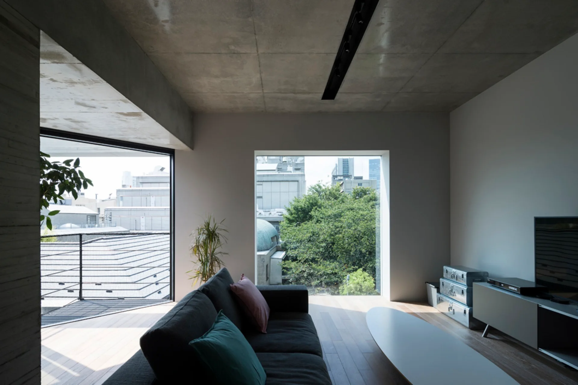 A minimalist living room features a grey sofa, a low white coffee table, and an exposed concrete ceiling facing a large square window with a tree view.