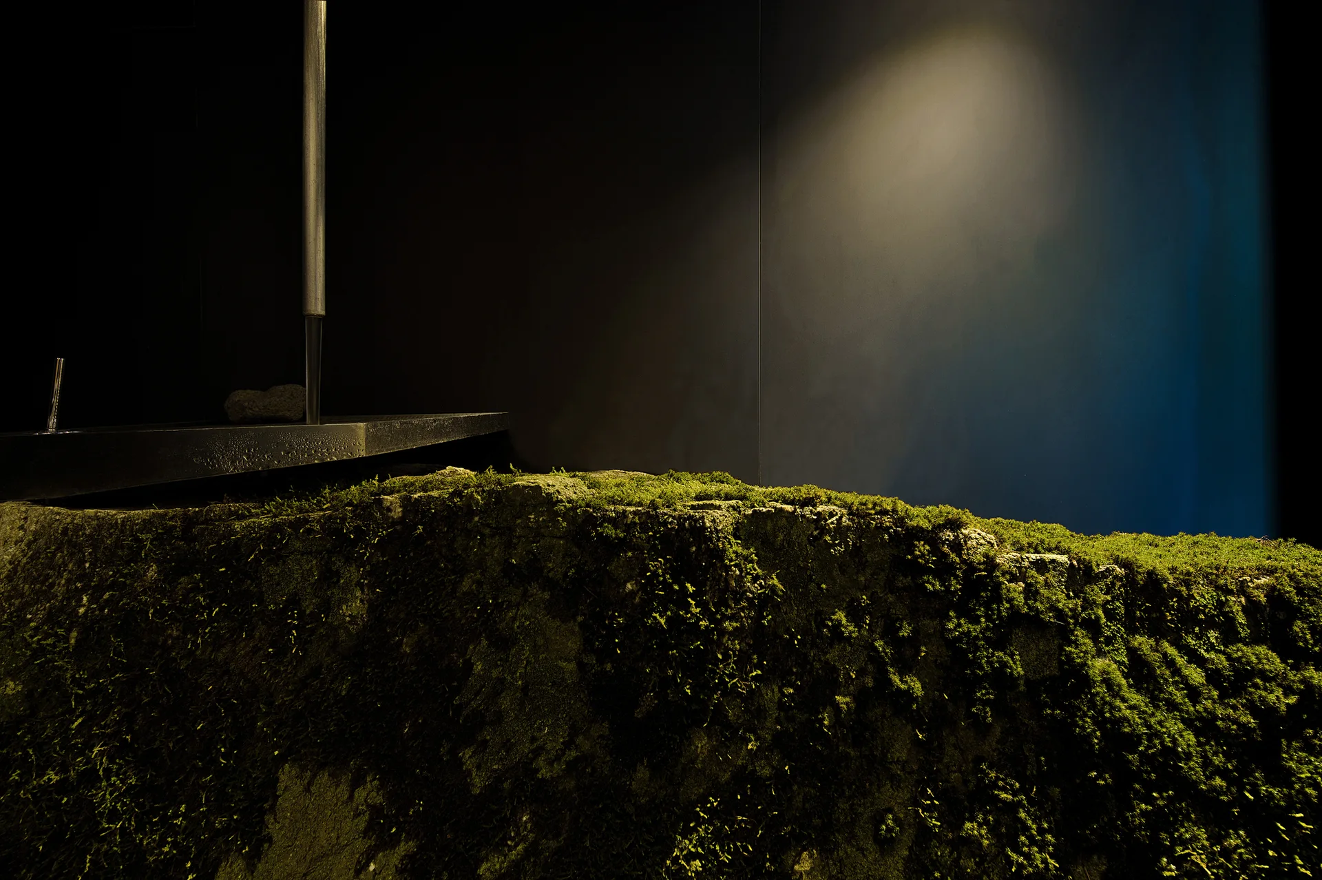 A moss-covered natural stone basin is illuminated by a single spotlight against a dark matte wall next to a slim metallic faucet.