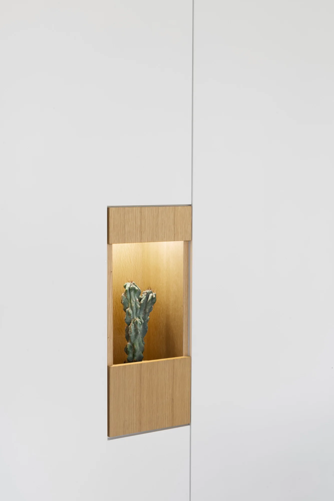 A close-up of flat matte white cabinet panels featuring a recessed wood-grain niche with a small green cactus illuminated by a warm built-in light.
