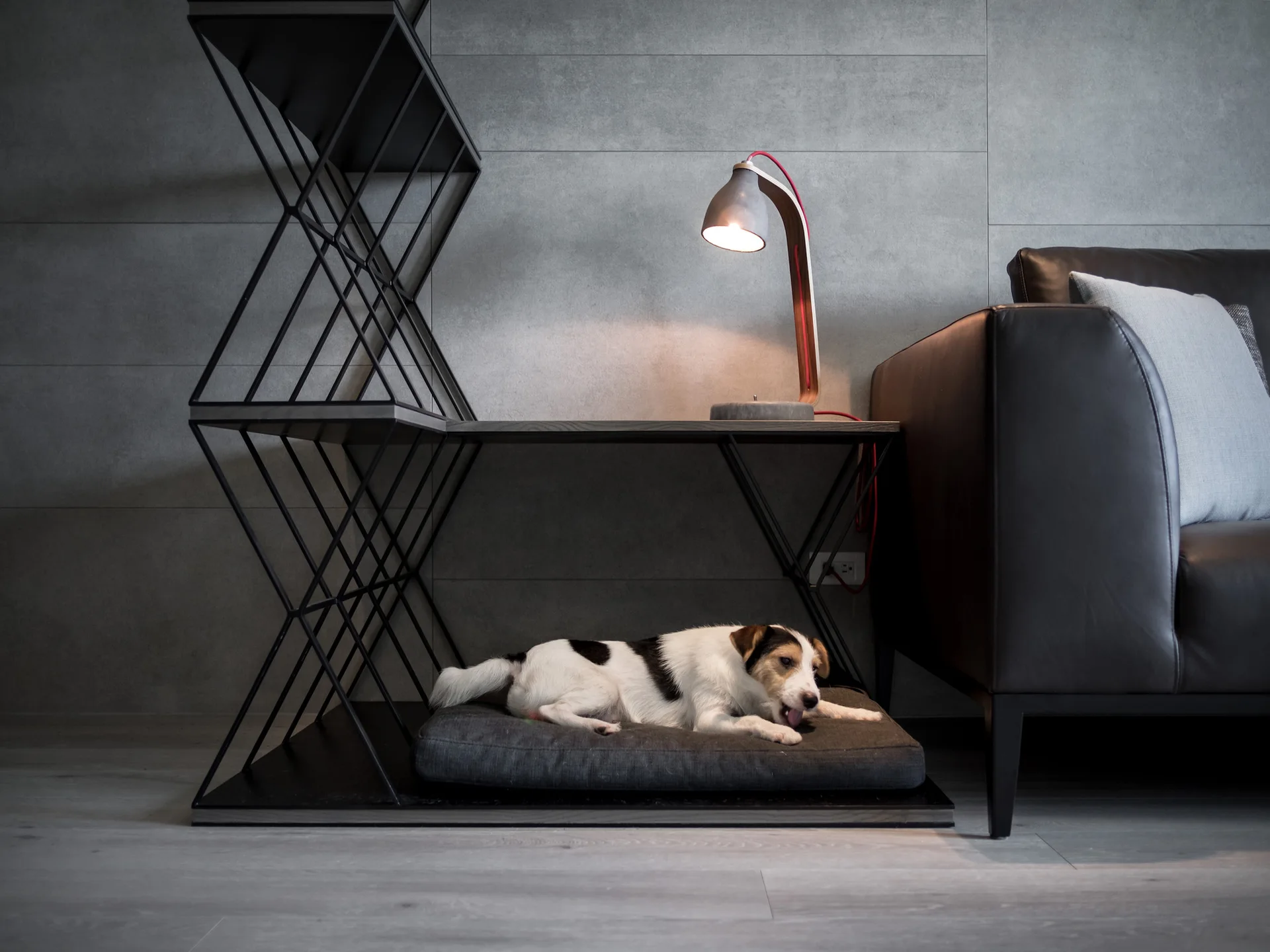 A black geometric metal shelving unit next to a dark leather sofa features an integrated dog bed on the bottom shelf and a modern lamp on top.
