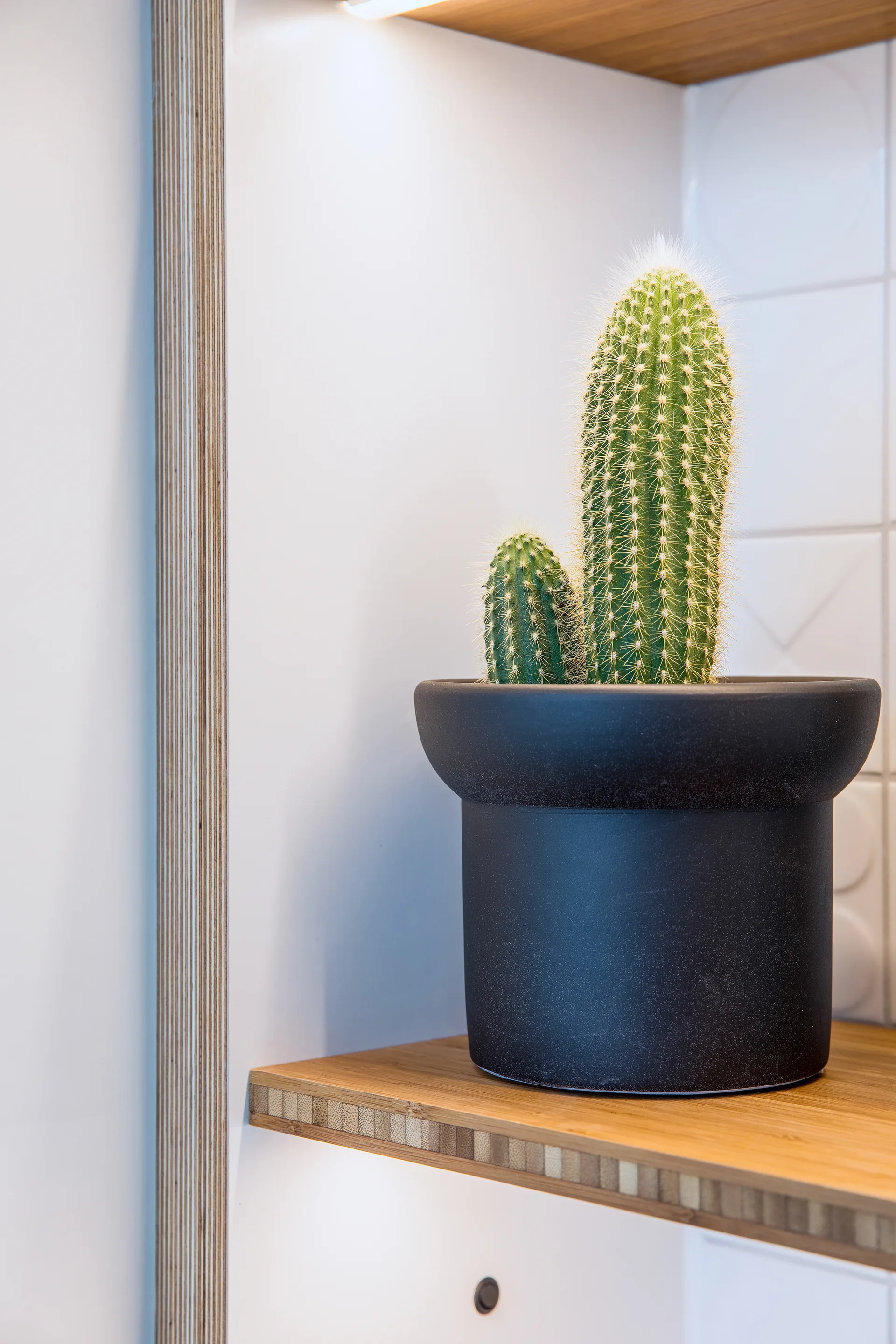 A green cactus in a matte black pot sits on a light wood shelf in front of a white tiled wall.