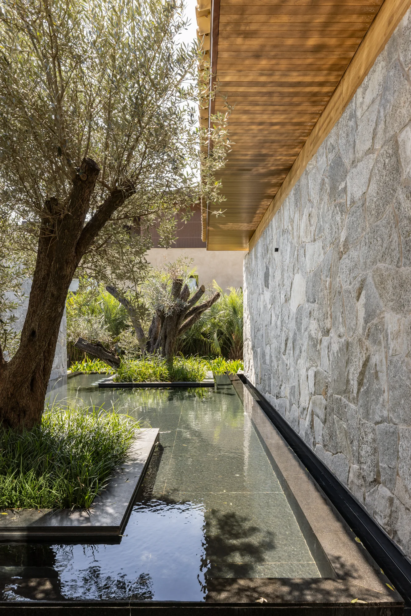 A narrow reflecting pond with olive trees in island planters sits alongside a rustic stone wall under a wood-paneled soffit.