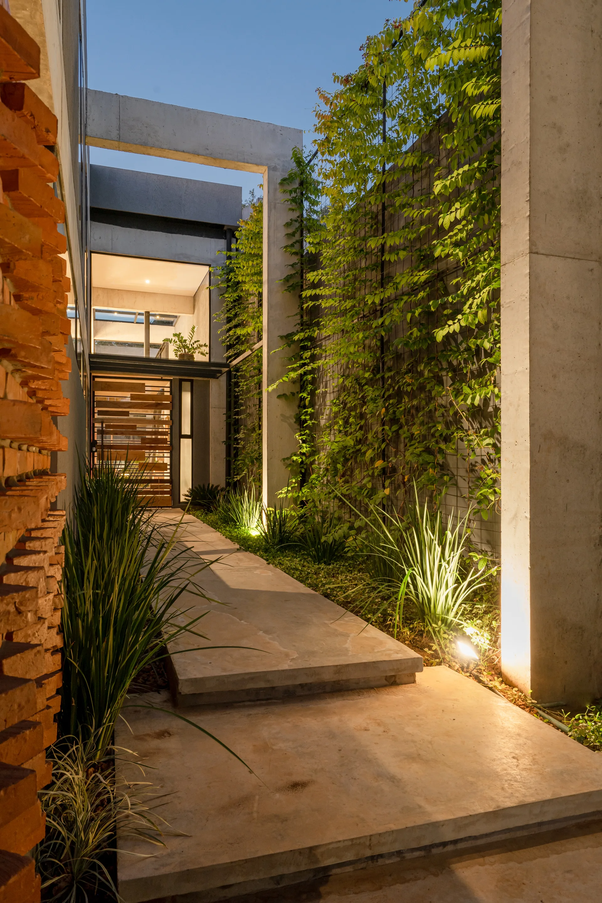 A concrete pathway leads to a modern home entrance flanked by a green climbing plant trellis and illuminated by warm ground lights at dusk.