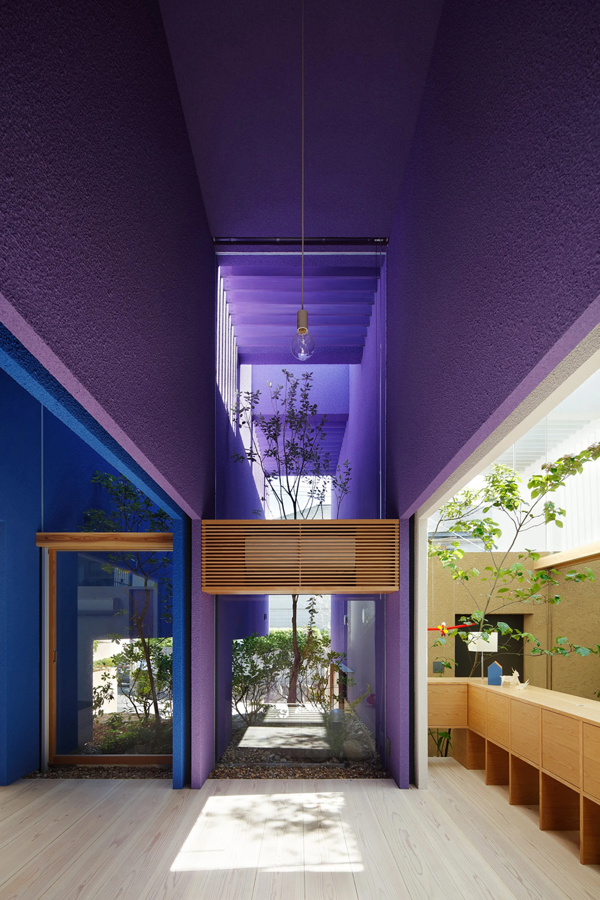 An architectural hallway corridor with textured purple and blue walls, integrated indoor trees under skylights, and light wood flooring.
