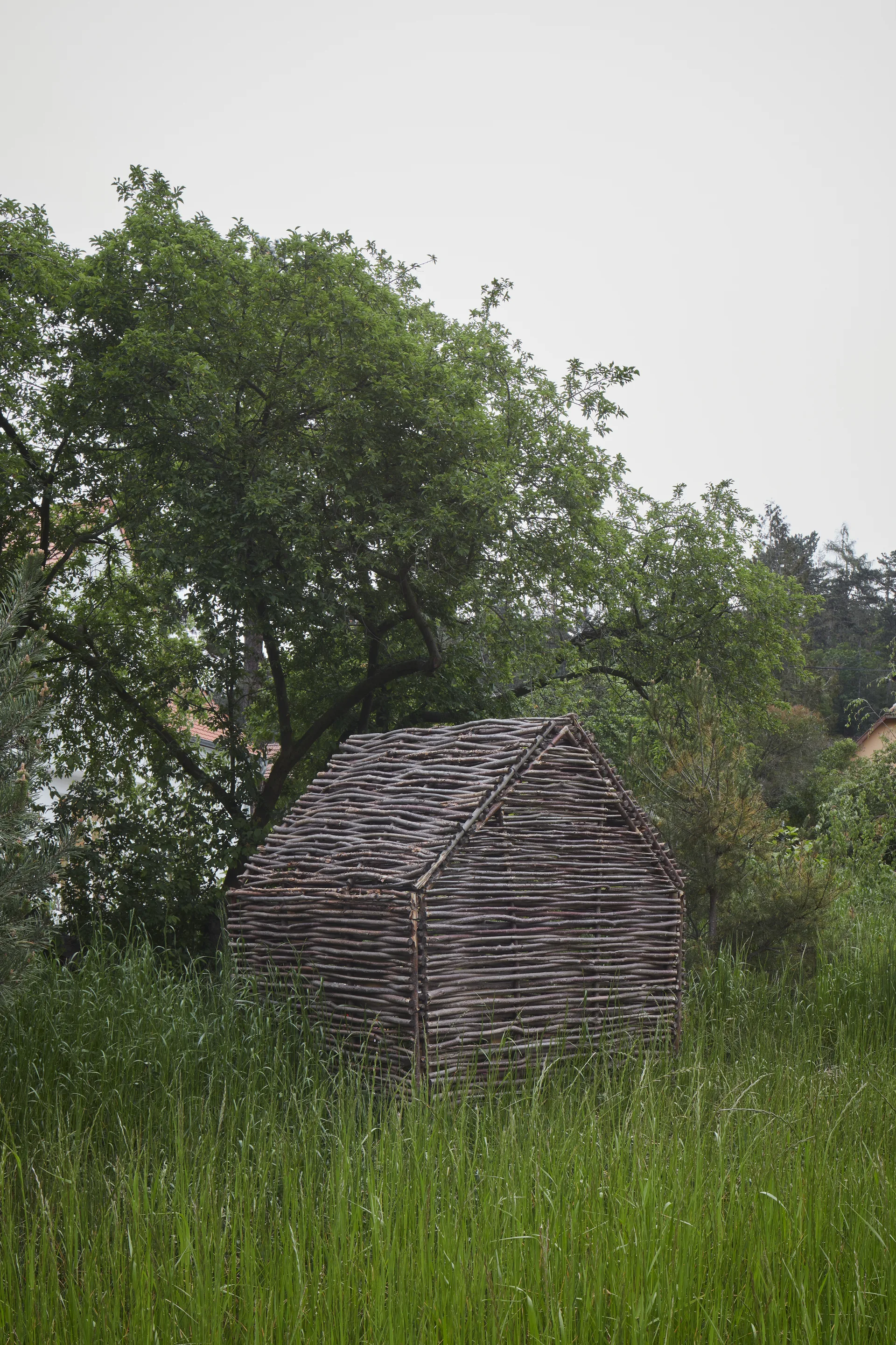 A small gabled hut built entirely from woven brown twigs stands in a field of tall green grass beneath a large tree.