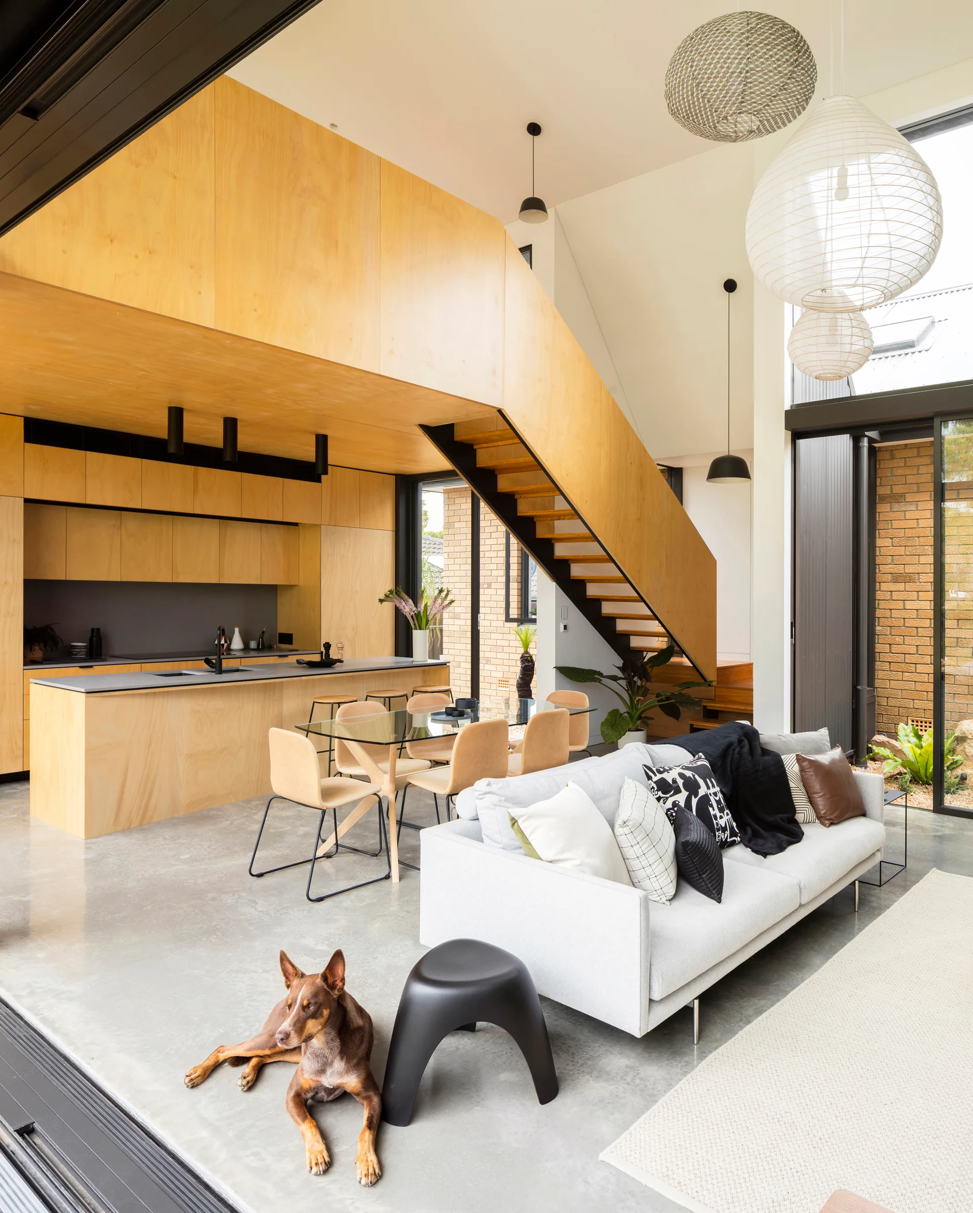 A modern open-concept living room features a light grey sofa, a polished concrete floor, and a prominent plywood staircase next to matching kitchen cabinets.