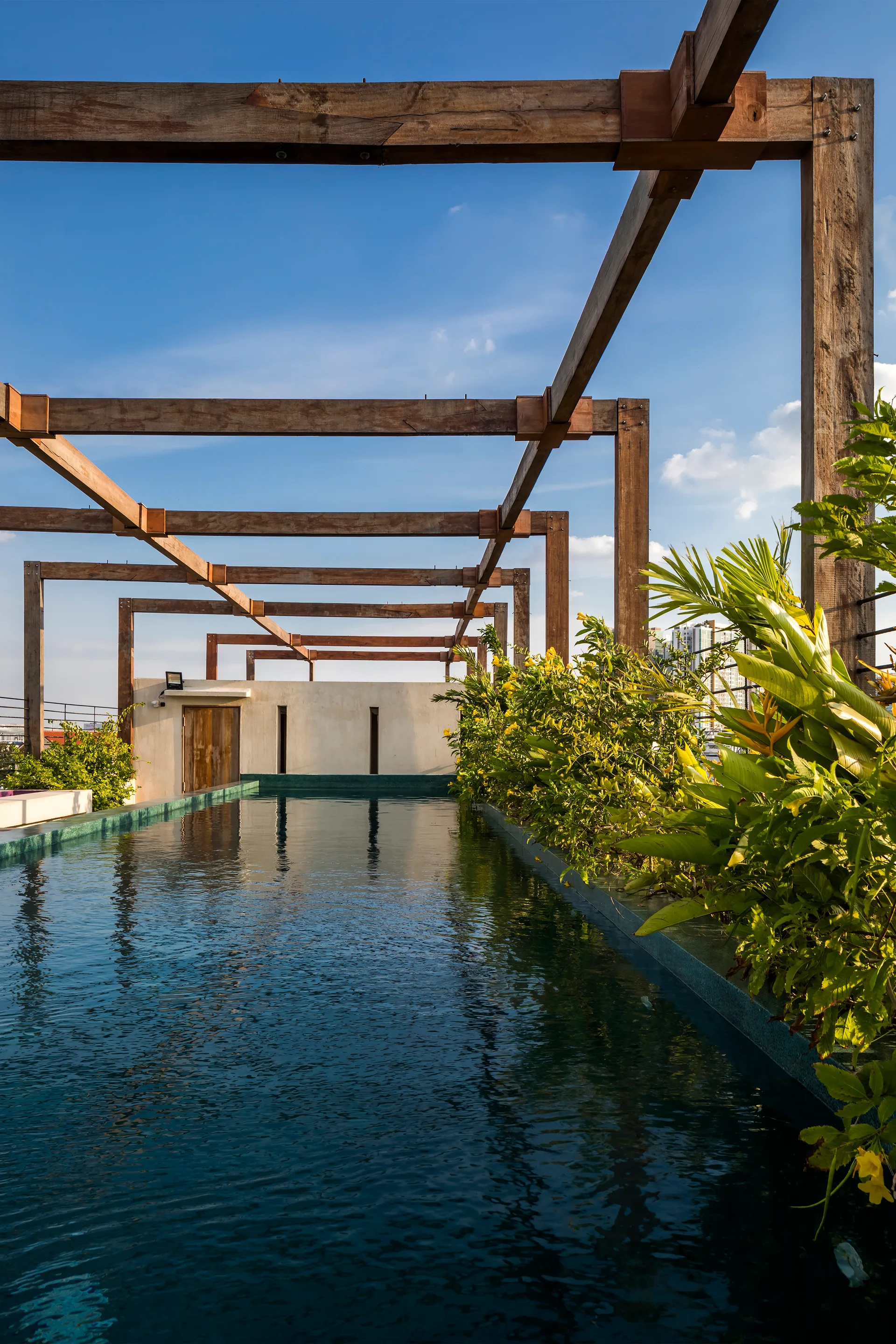 A long rooftop swimming pool is flanked by lush green foliage and topped with a structural wooden beam pergola under a clear blue sky.