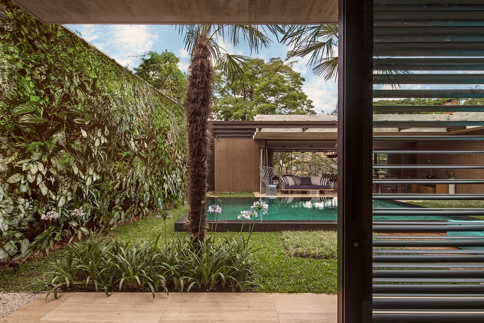 A modern courtyard swimming pool features a tall vertical garden wall, a slender palm tree, and a covered terrace with wood slat cladding.