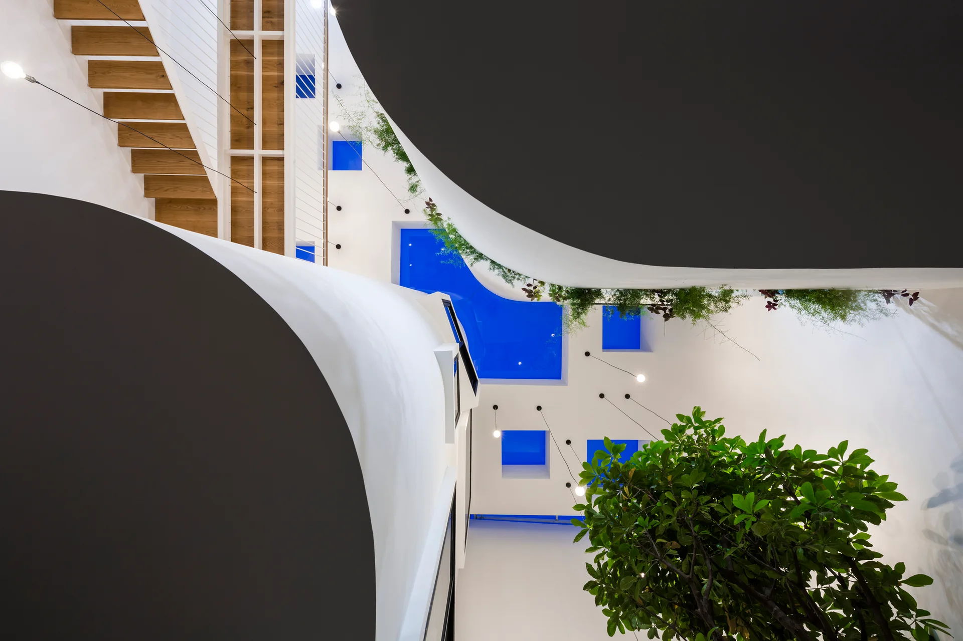 Looking up into a modern white atrium with curved walls, a wooden staircase, small pendant lights, indoor trees, and bright blue rectangular skylights.