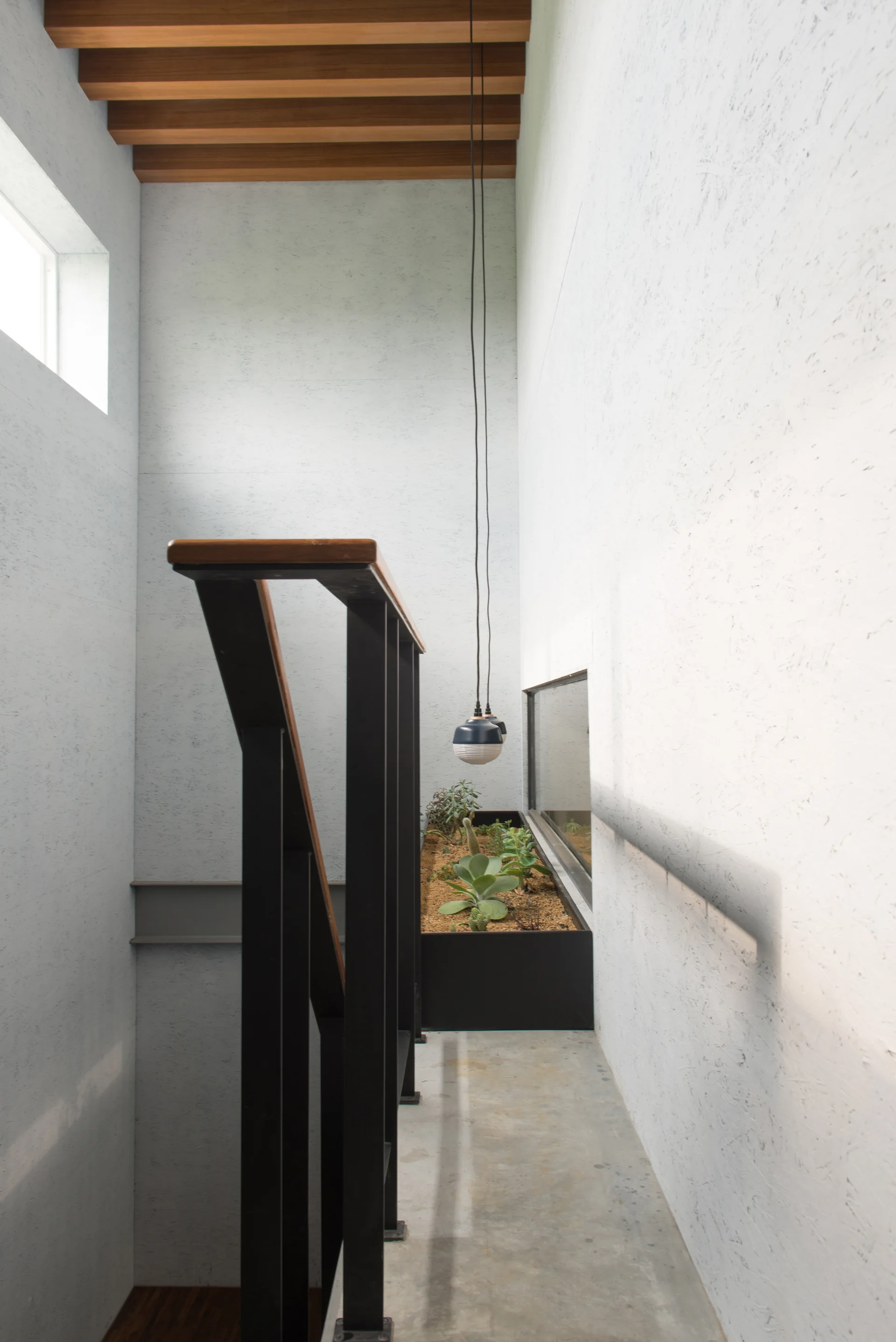 A minimalist concrete stairwell features a black metal railing, exposed wooden ceiling beams, and a built-in metal planter box filled with succulents.
