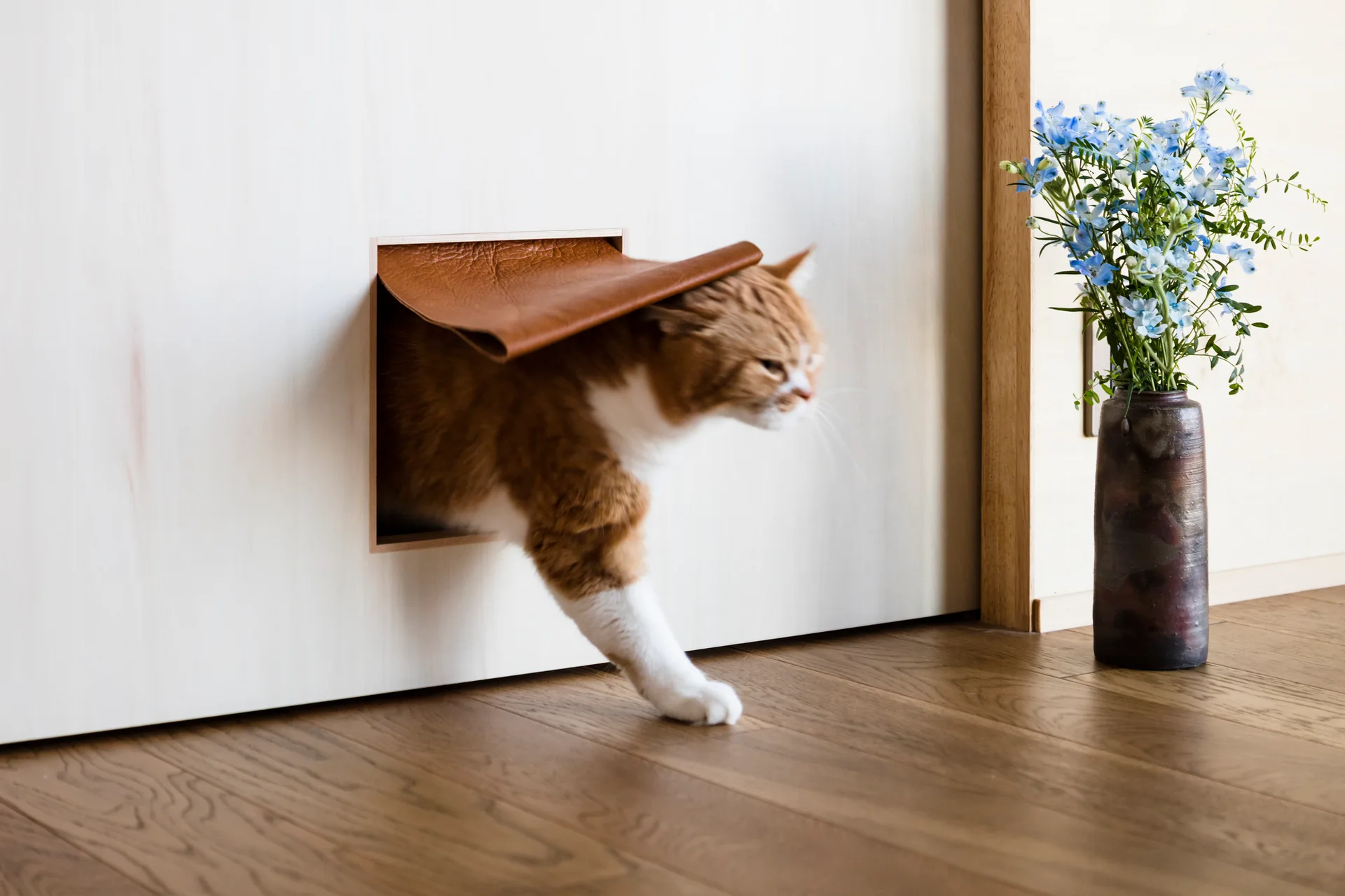 An orange and white cat steps through a small square opening with a brown leather flap set in a light wood wall next to blue flowers in a vase.