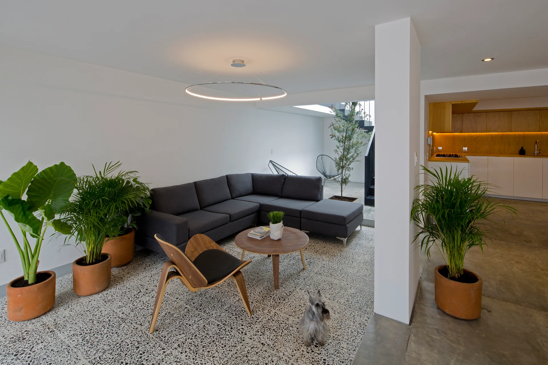 A modern living room features a grey sectional sofa, a round wooden coffee table, terrazzo flooring, and several large potted plants.