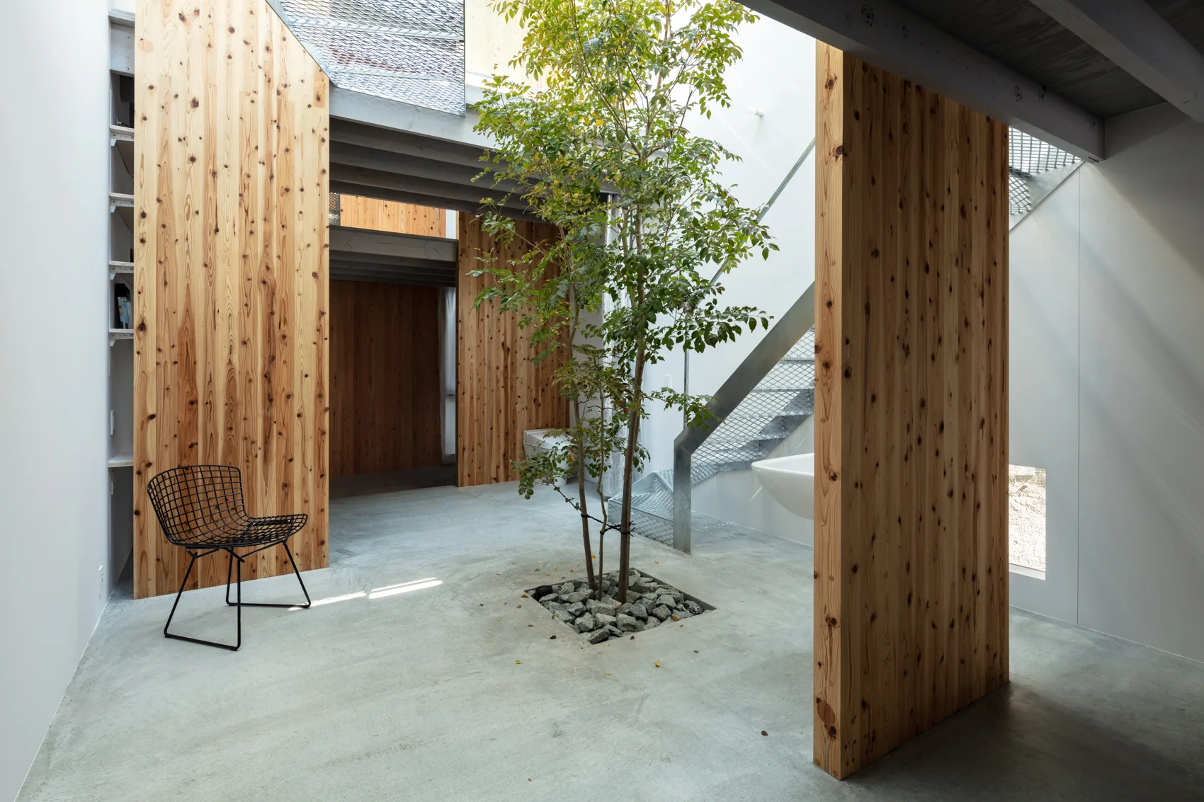 A modern indoor courtyard features a slender tree growing from a concrete floor cutout surrounded by natural timber walls and a metal staircase.