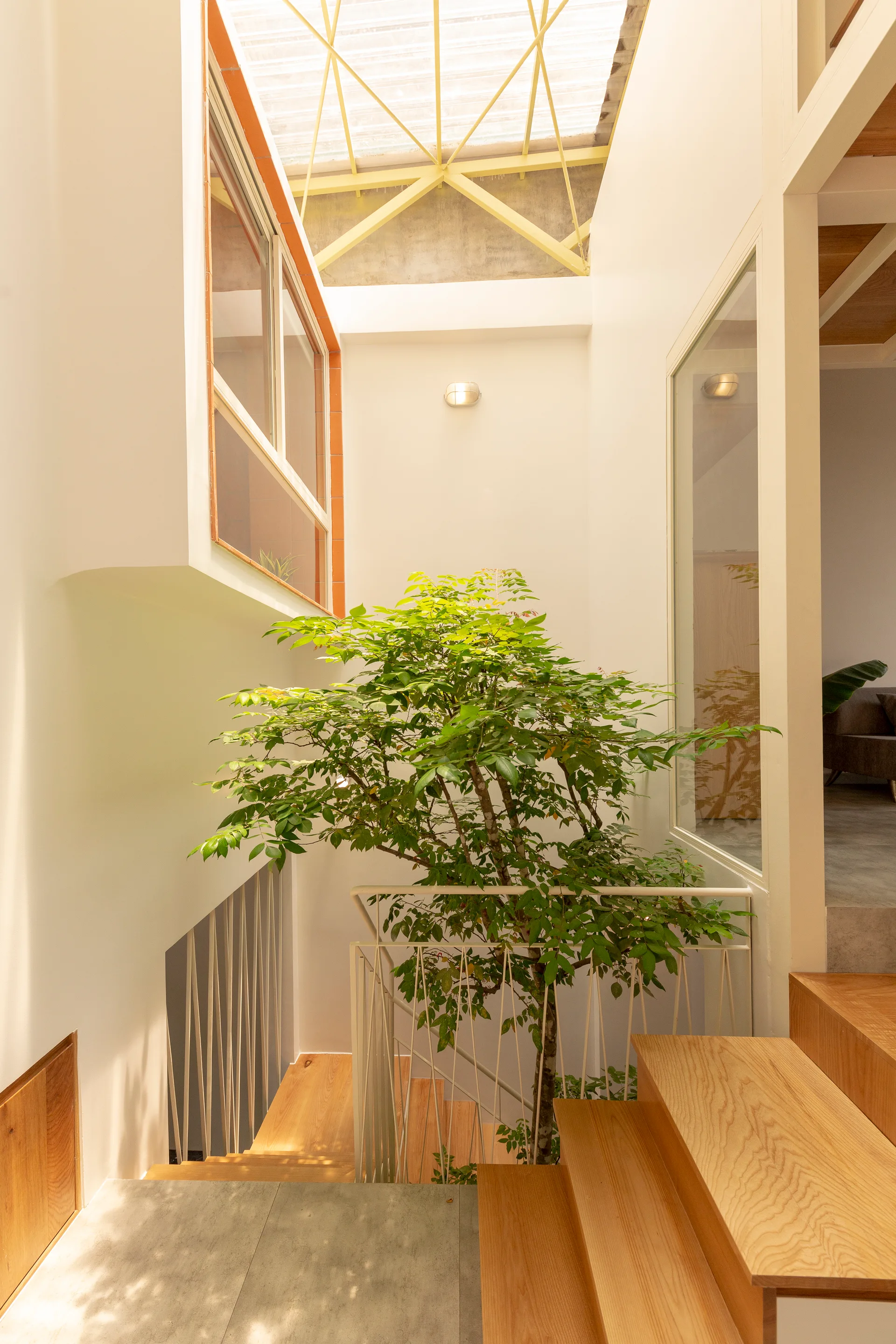 A modern staircase with light wood treads features a green indoor tree growing in the center beneath a bright overhead skylight.