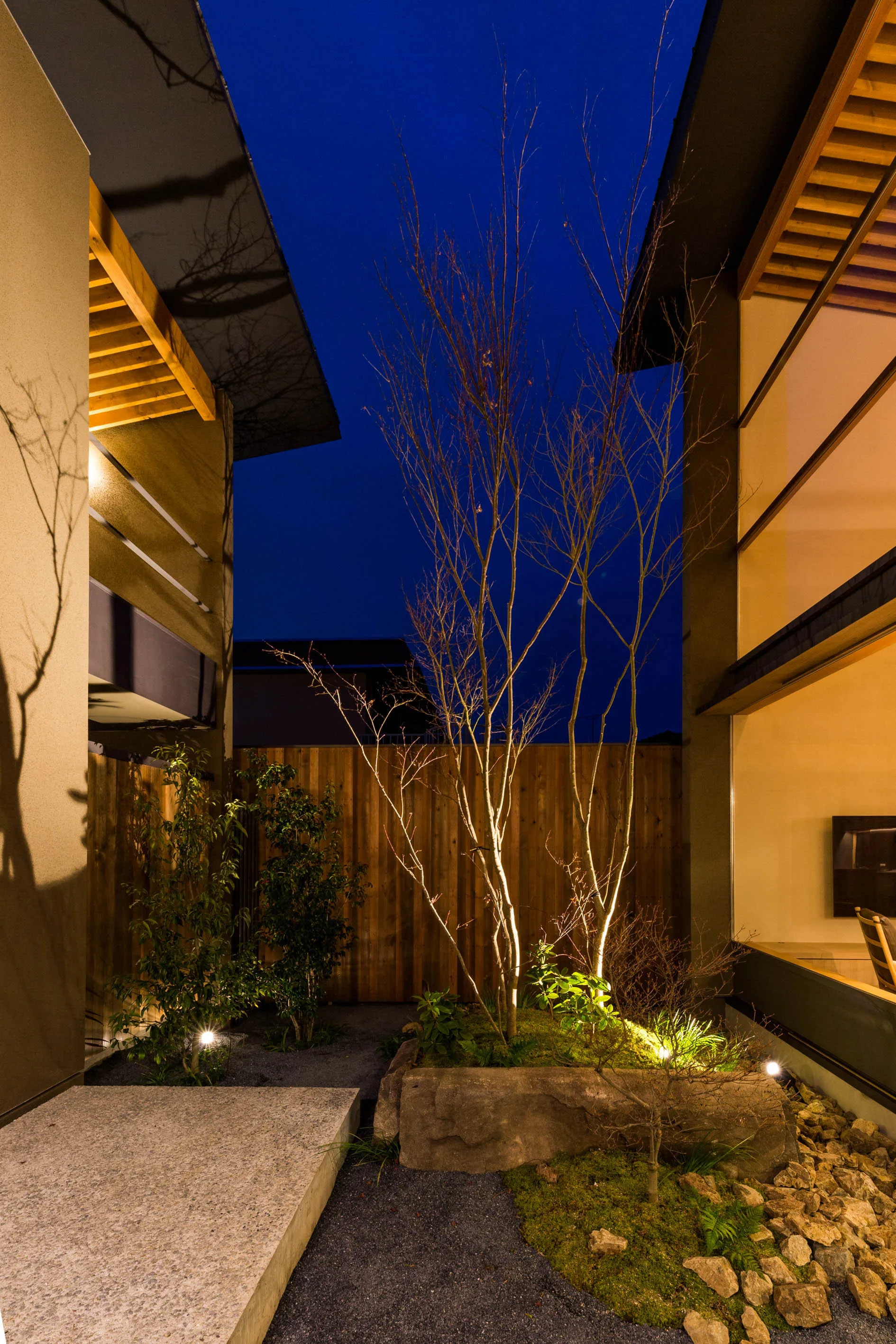 An illuminated modern courtyard at night featuring a central stone planter with a bare tree, surrounded by gravel and a wood fence.
