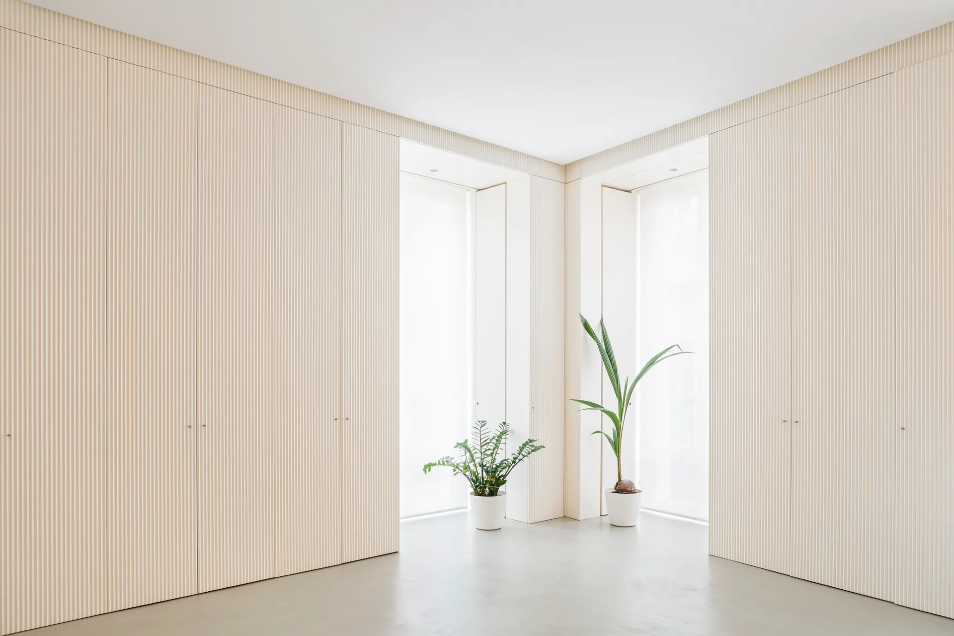 A minimalist room corner featuring floor-to-ceiling fluted cabinetry, recessed windows with sheer white coverings, and two potted plants.
