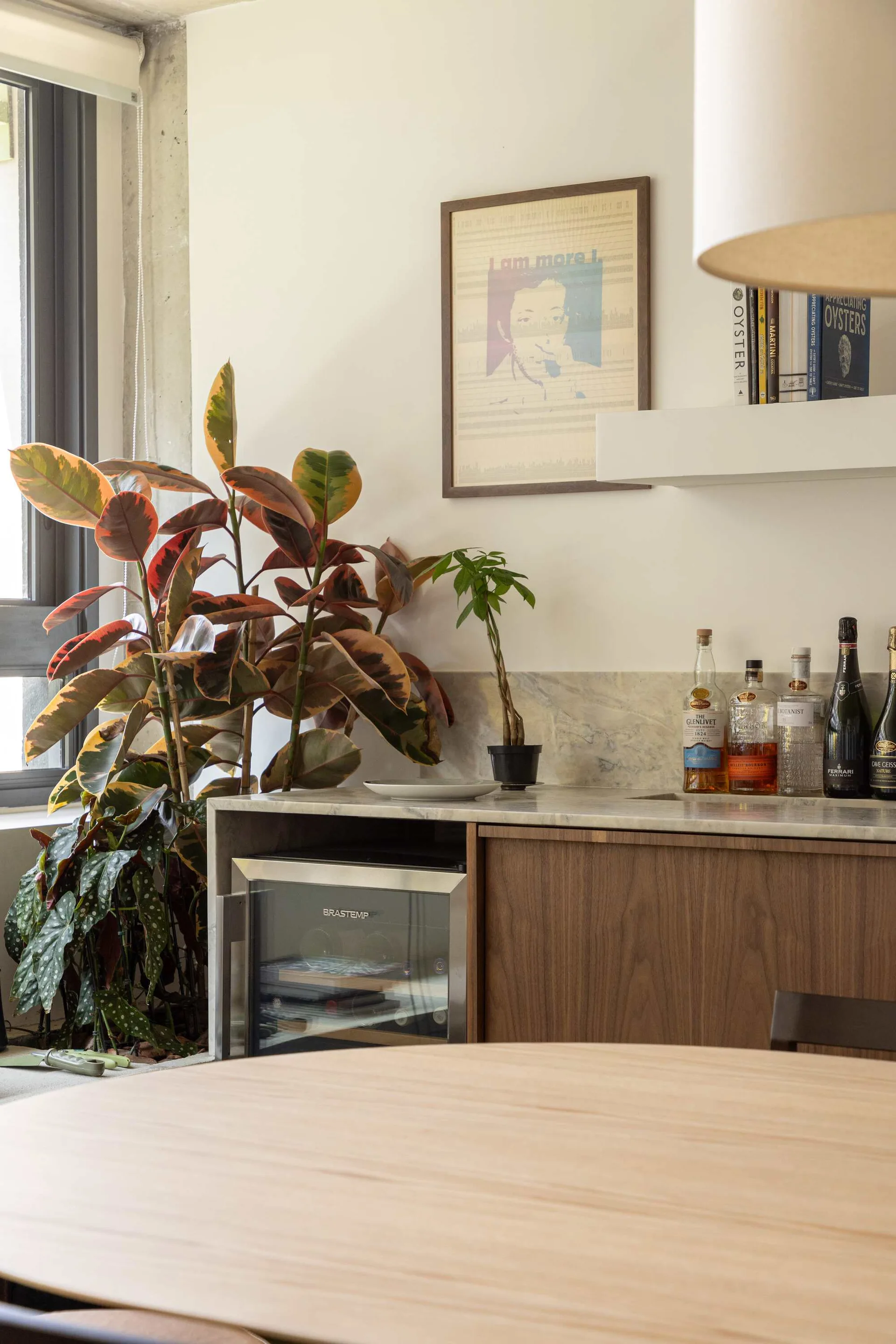 A wood kitchen bar cabinet features a marble countertop with liquor bottles, an integrated wine cooler, a floating shelf, and a large potted rubber plant.