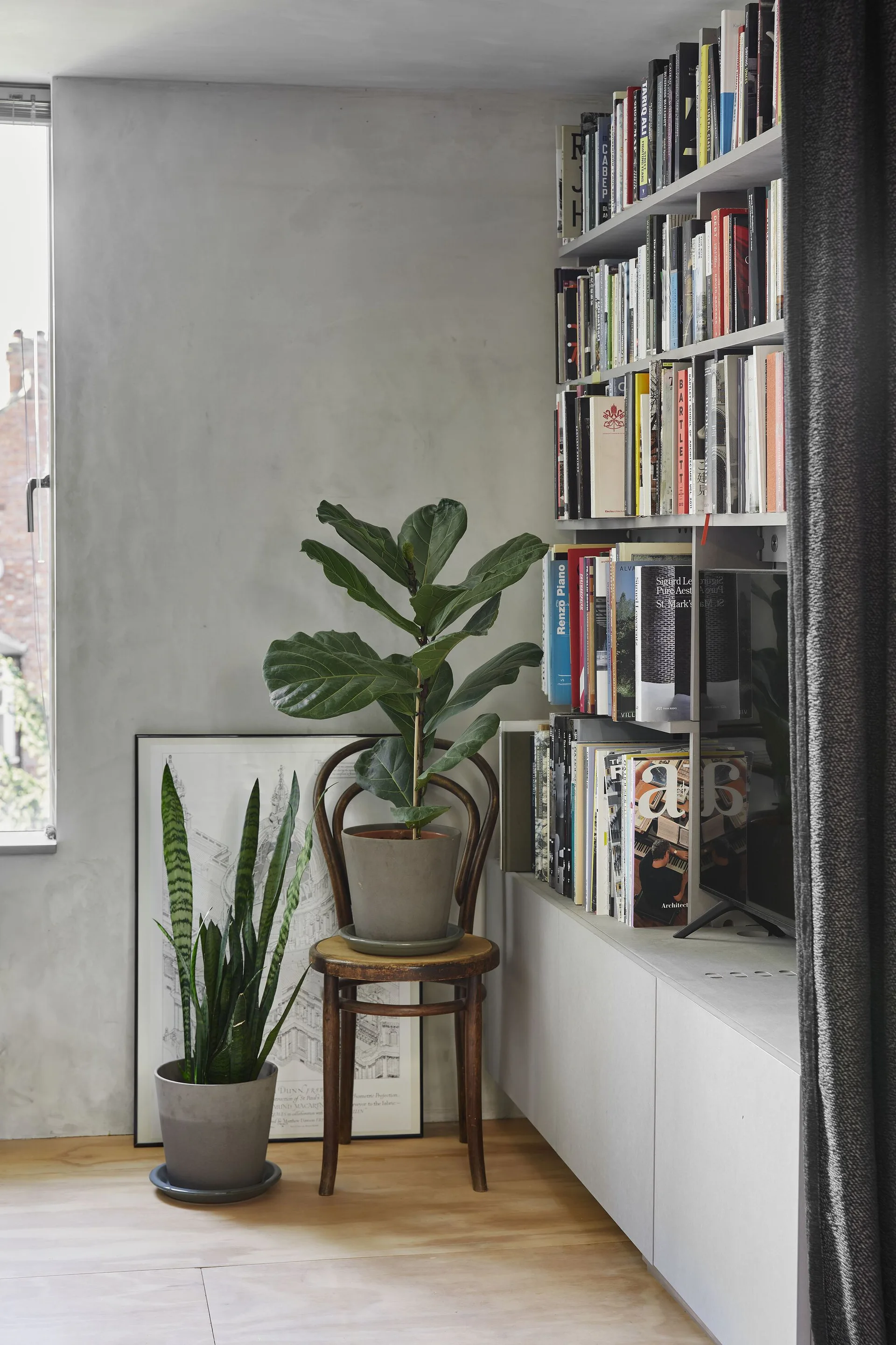 A grey corner features a floor-to-ceiling bookshelf next to a vintage wooden bentwood chair holding a potted plant on light wood floors.