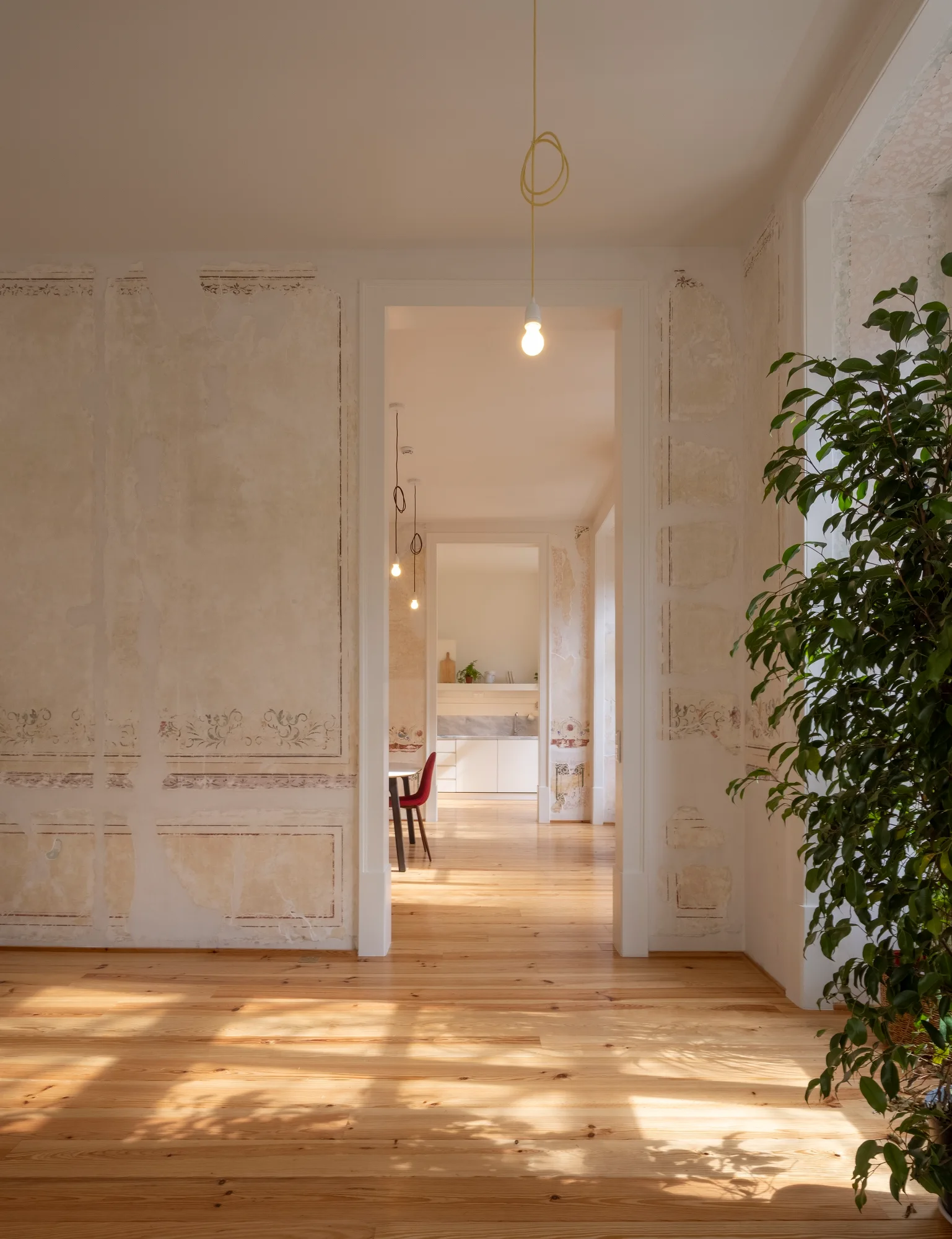 An interior view through a doorway shows distressed plaster walls with faded decorative patterns, warm wood flooring, and a green potted plant.