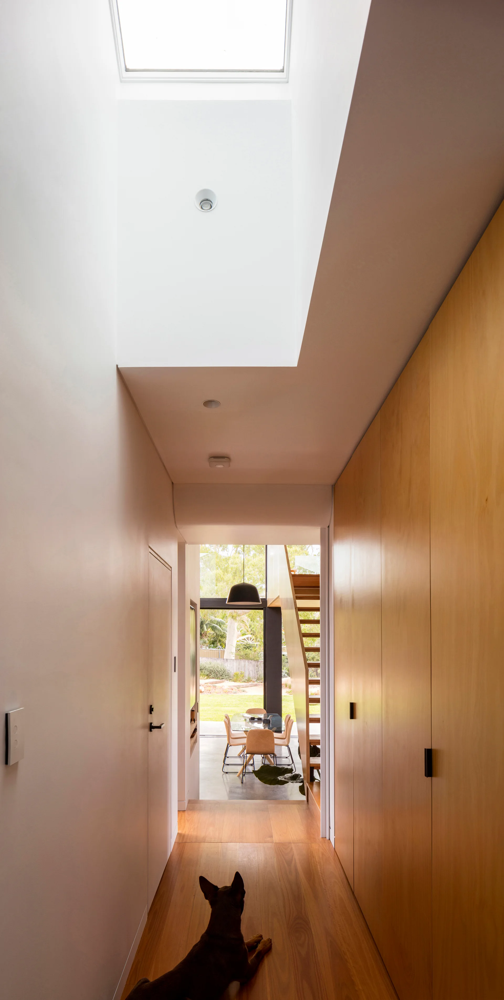 A dog lies in a narrow hallway with wood floors, a skylight, a wall of built-in wood cabinets, and a view of a dining area in the distance.