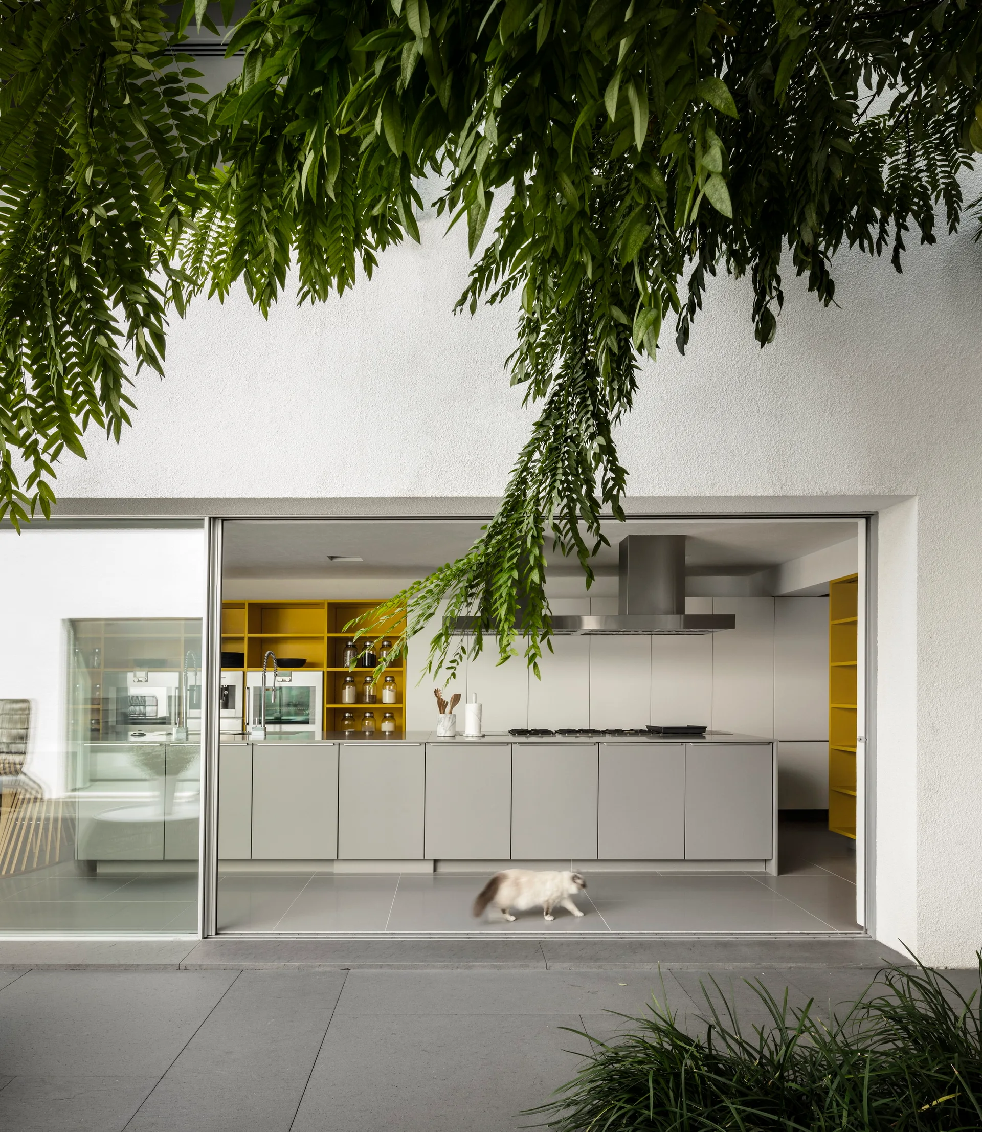 A minimalist gray kitchen with open yellow shelving and a large island is visible through wide sliding glass doors from an outdoor patio.