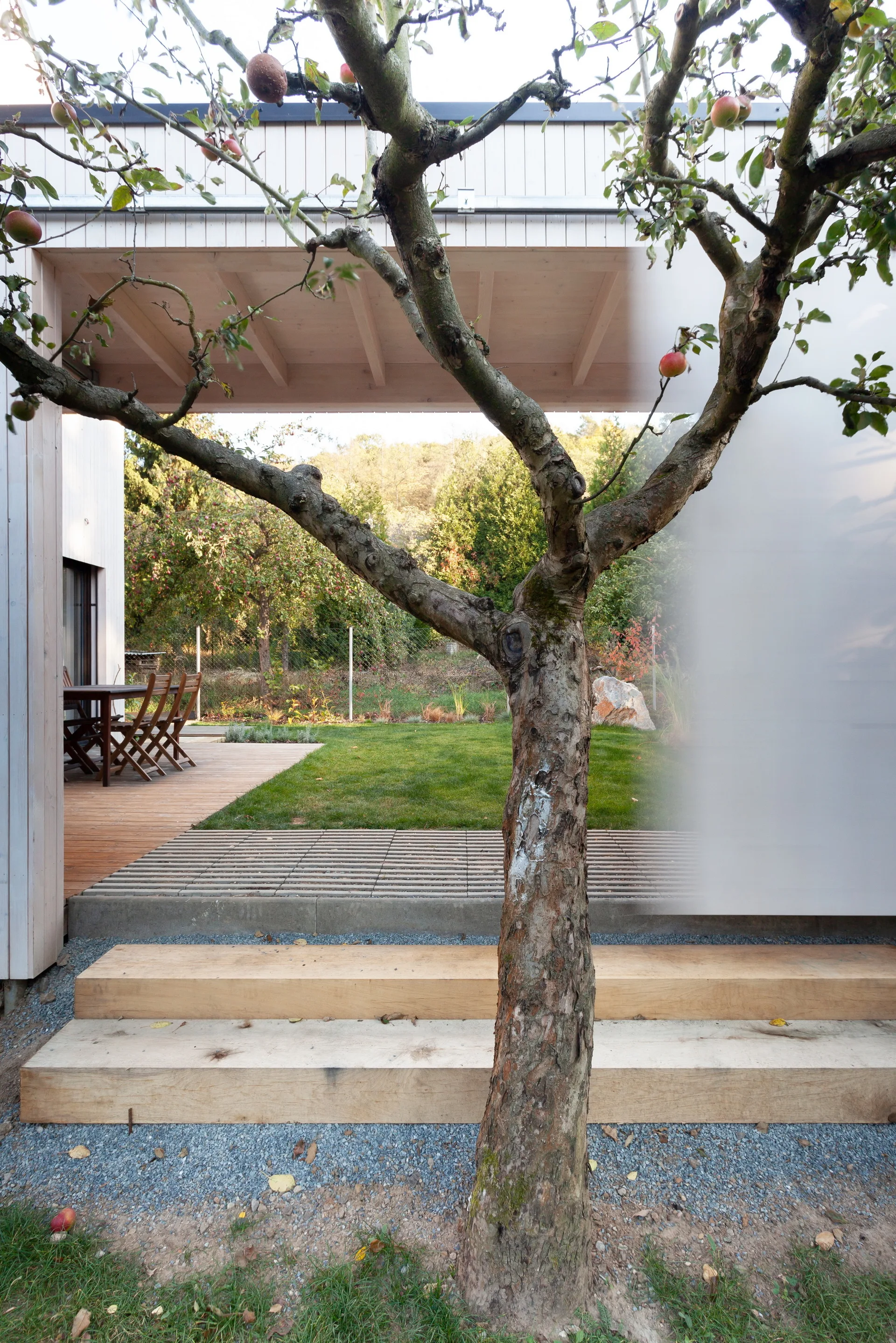 An apple tree stands before raw timber steps leading to a light-colored patio with an outdoor dining table and chairs.