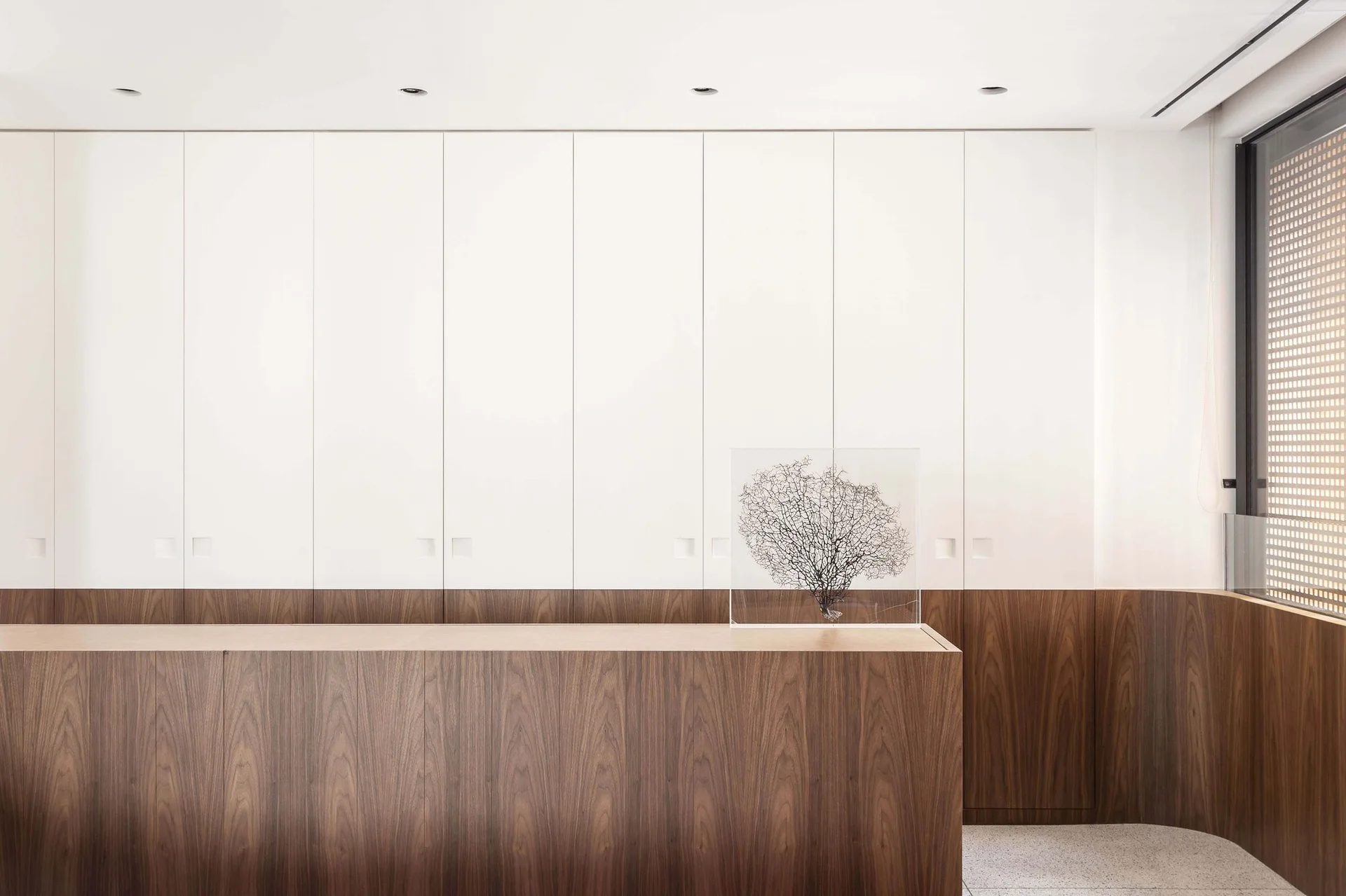 Floor-to-ceiling white storage cabinets with integrated square pulls sit above a dark wood-veneered base wall, featuring a coral sculpture in an acrylic block.