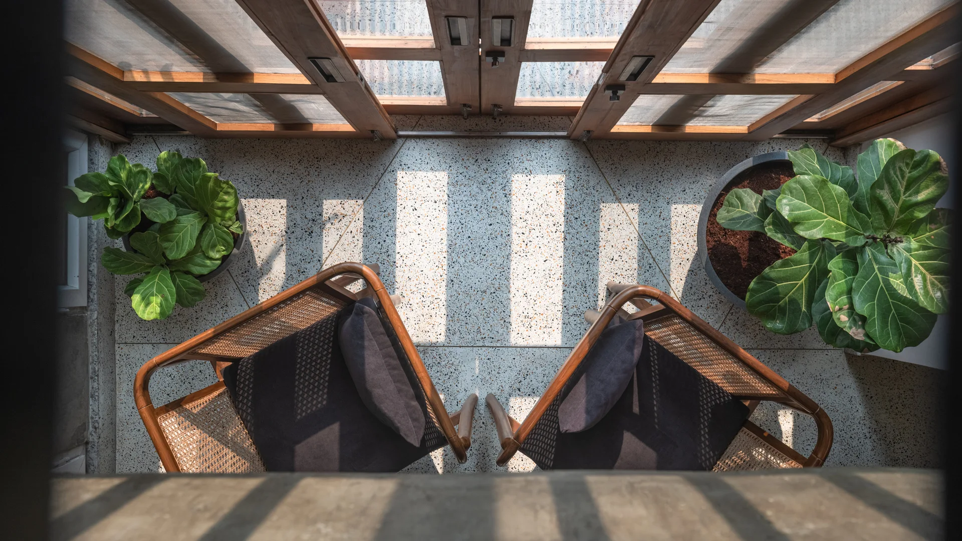 An overhead view of a sunlit patio featuring two wood and rattan armchairs, terrazzo tile flooring, and potted fiddle-leaf fig plants.