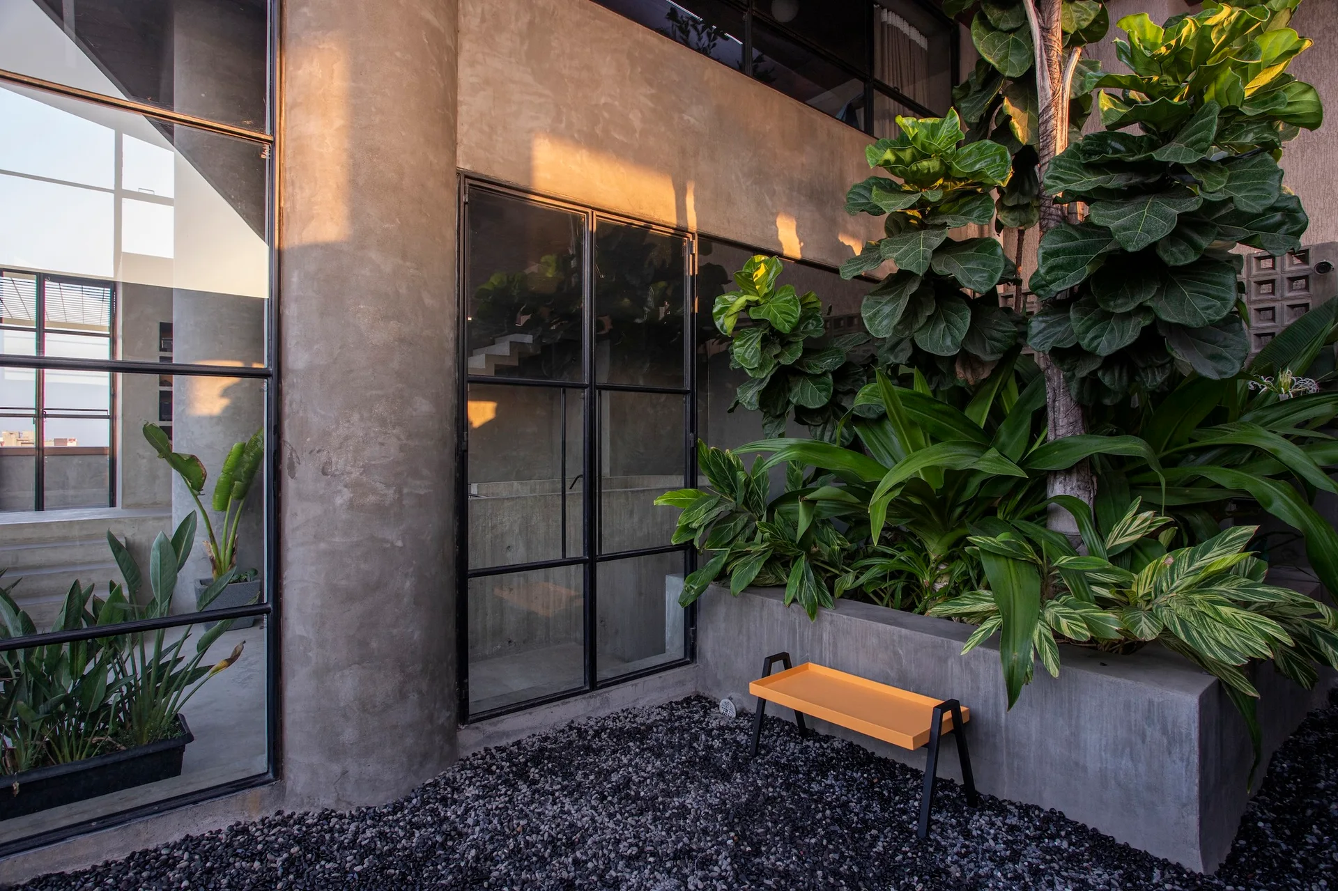 A modern concrete courtyard features a built-in planter with lush green plants, black-framed glass windows, dark gravel, and a small yellow bench.