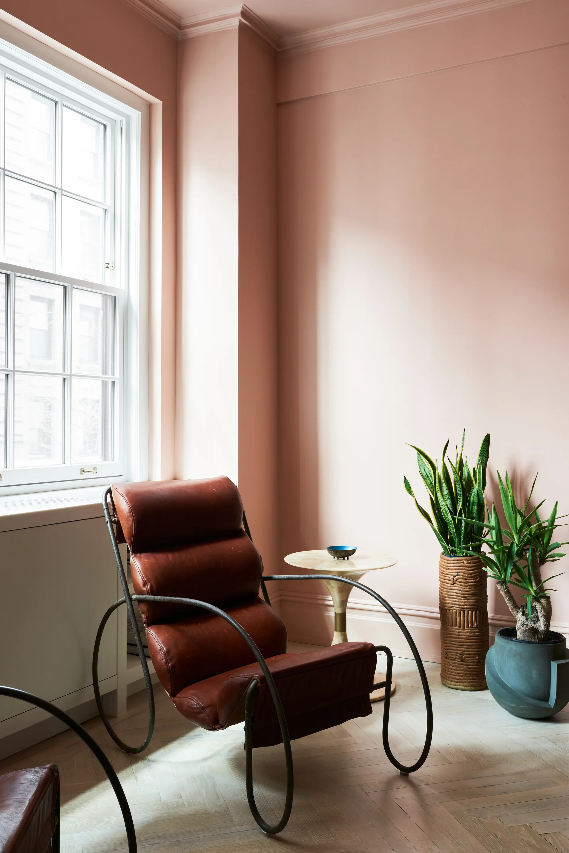 A brown leather lounge chair with a curved metal frame sits in a room corner with blush pink walls, light wood herringbone floors, and green potted plants.