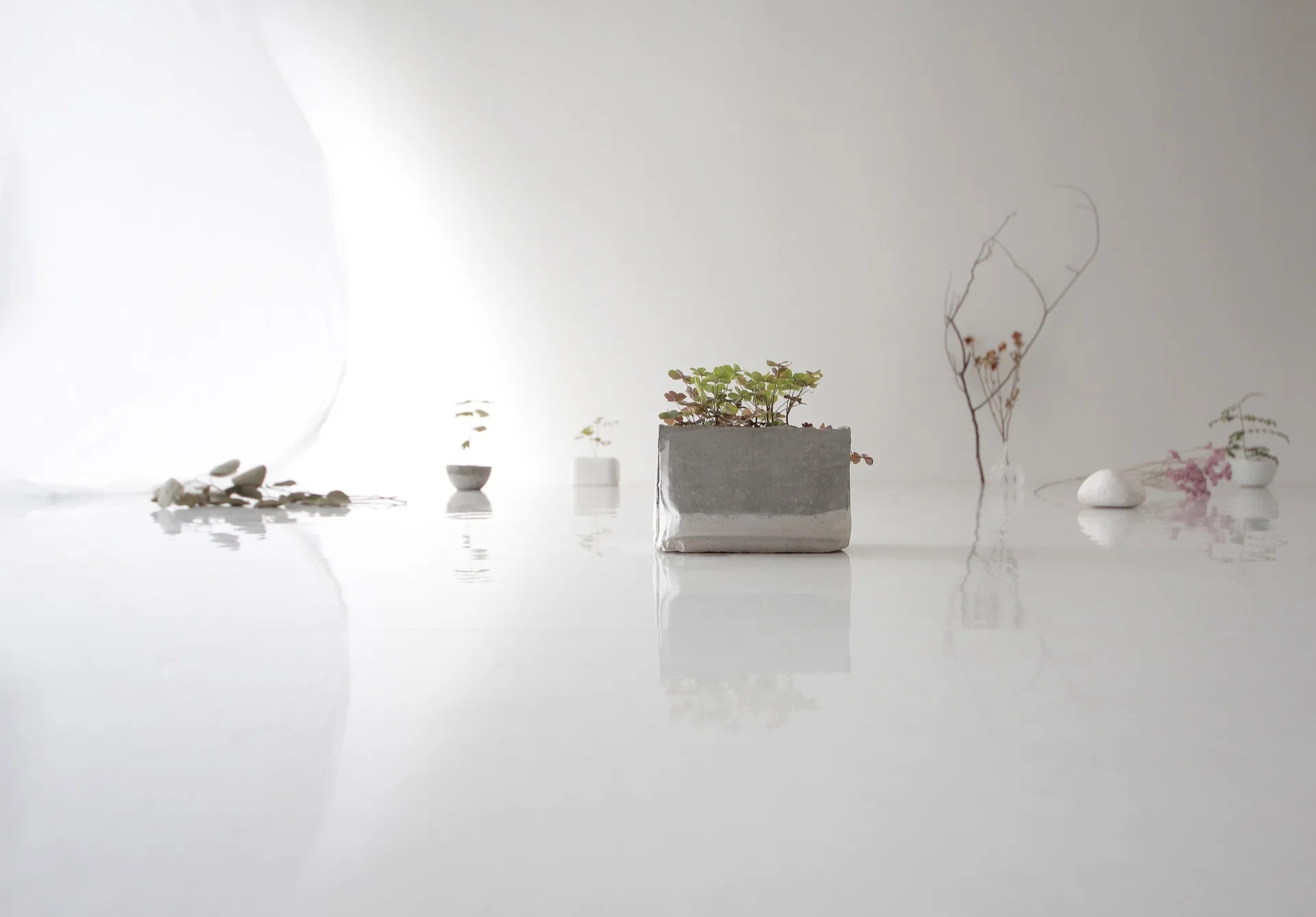 A rectangular concrete planter with small green plants sits on a reflective white floor in a minimalist studio setting.