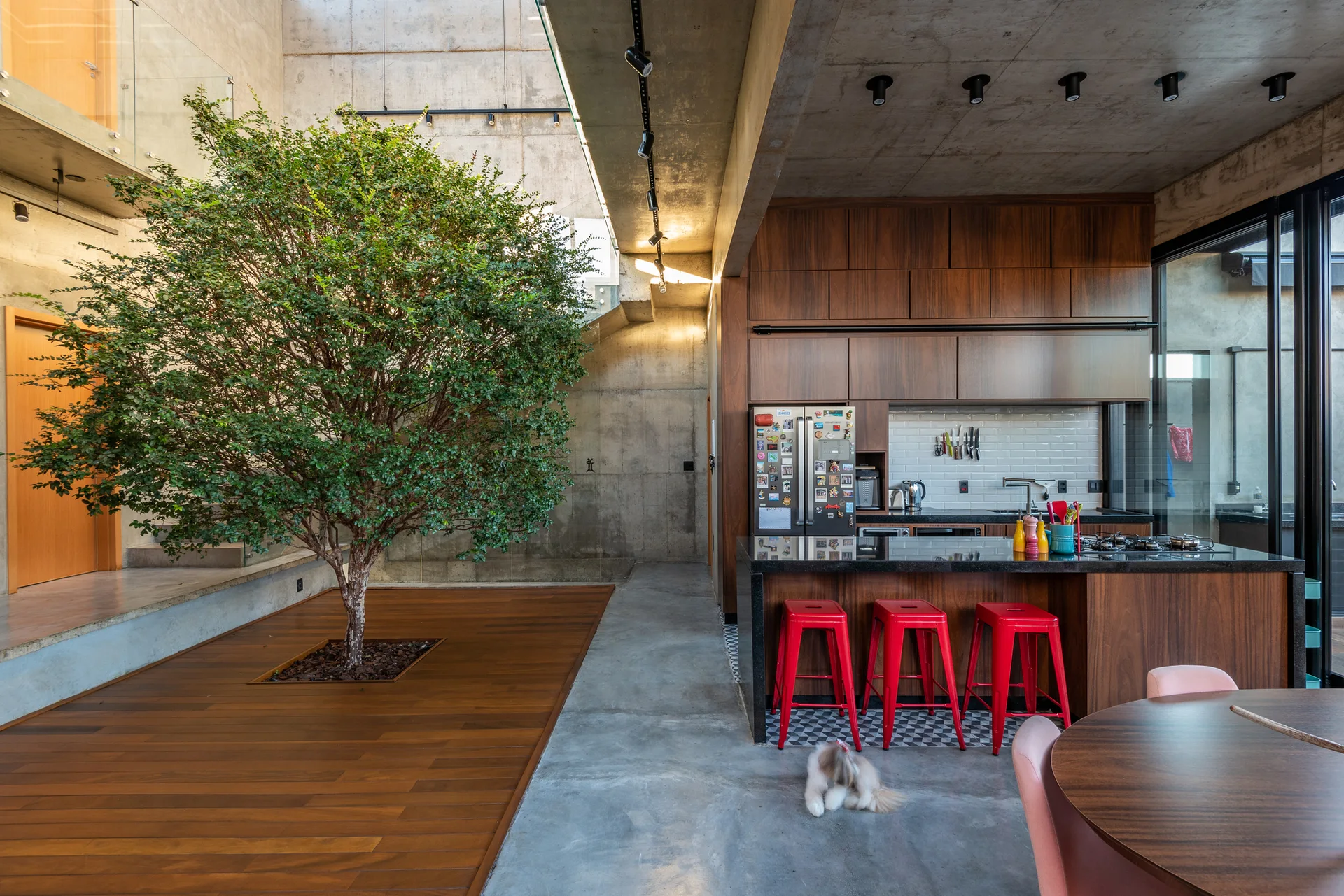 A modern kitchen with wood cabinets, concrete walls, and red bar stools faces an indoor atrium featuring a large live tree on a wooden deck.