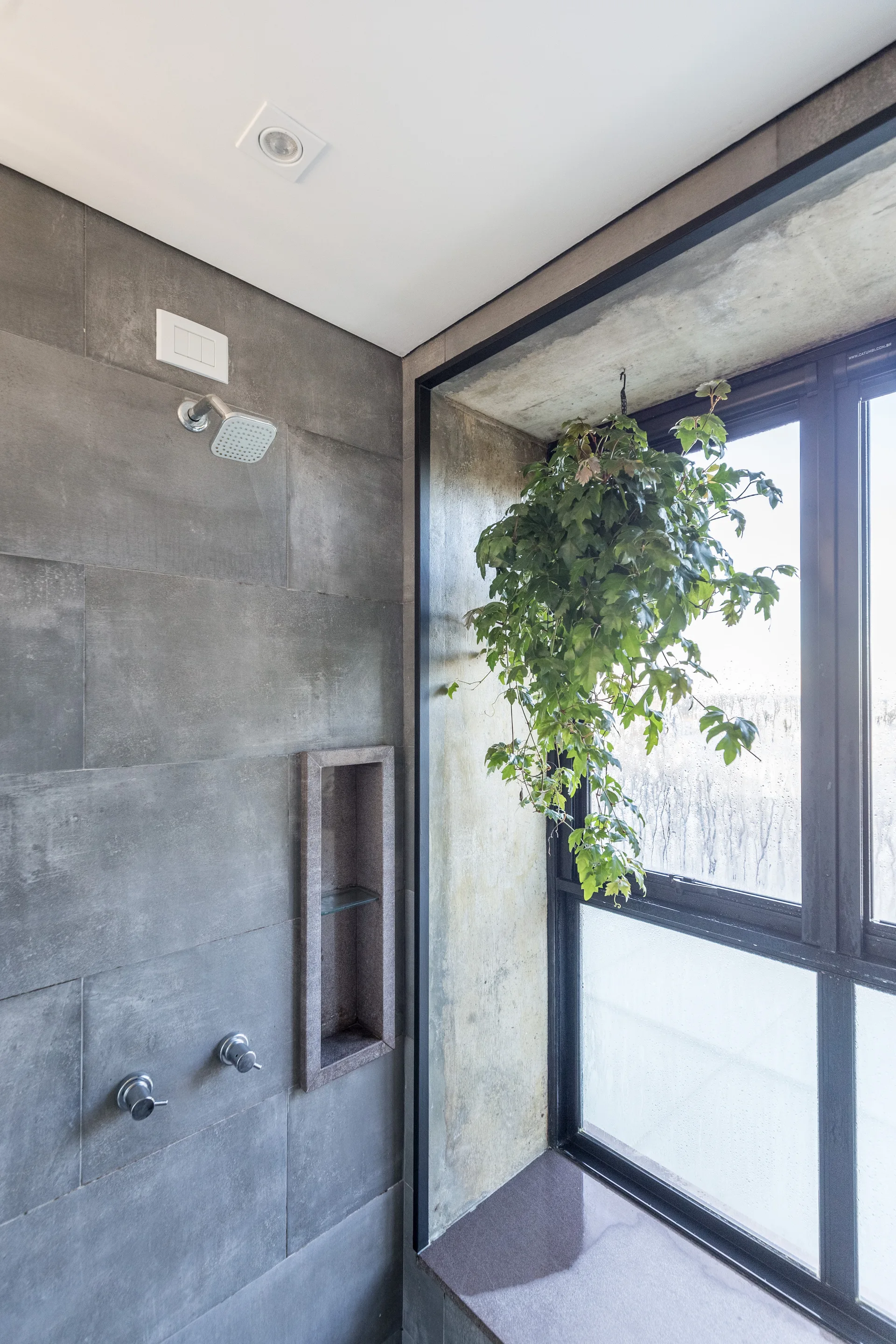 A modern shower with large matte gray tiles on the wall, a recessed storage niche, and a hanging green plant in front of a large window.