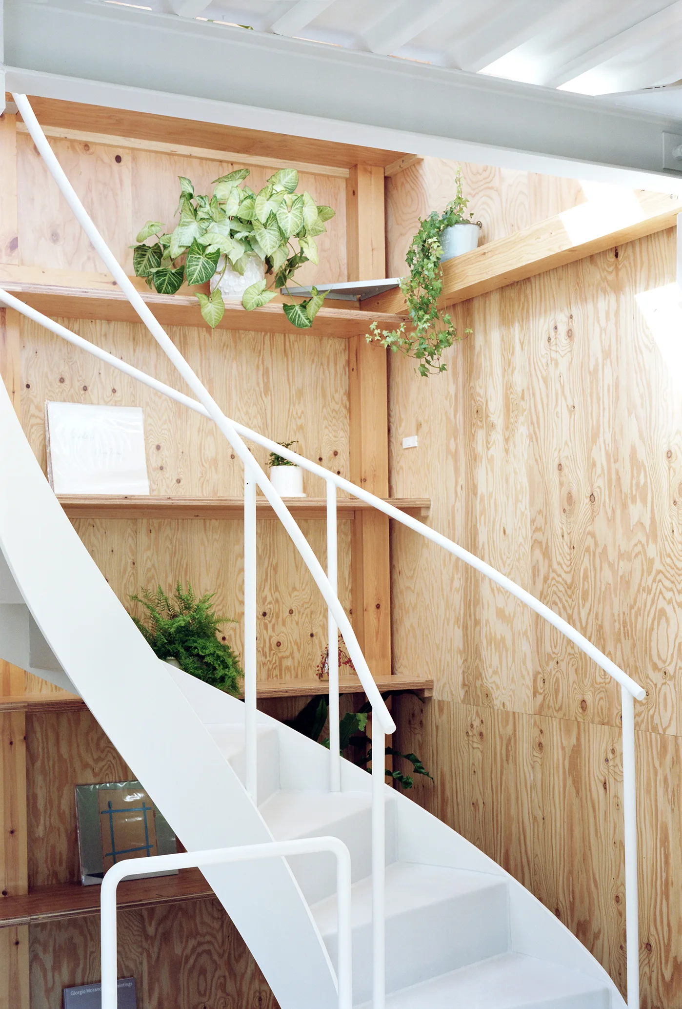 A white metal staircase with a minimalist railing rises against a light plywood-paneled wall with shelves for plants.