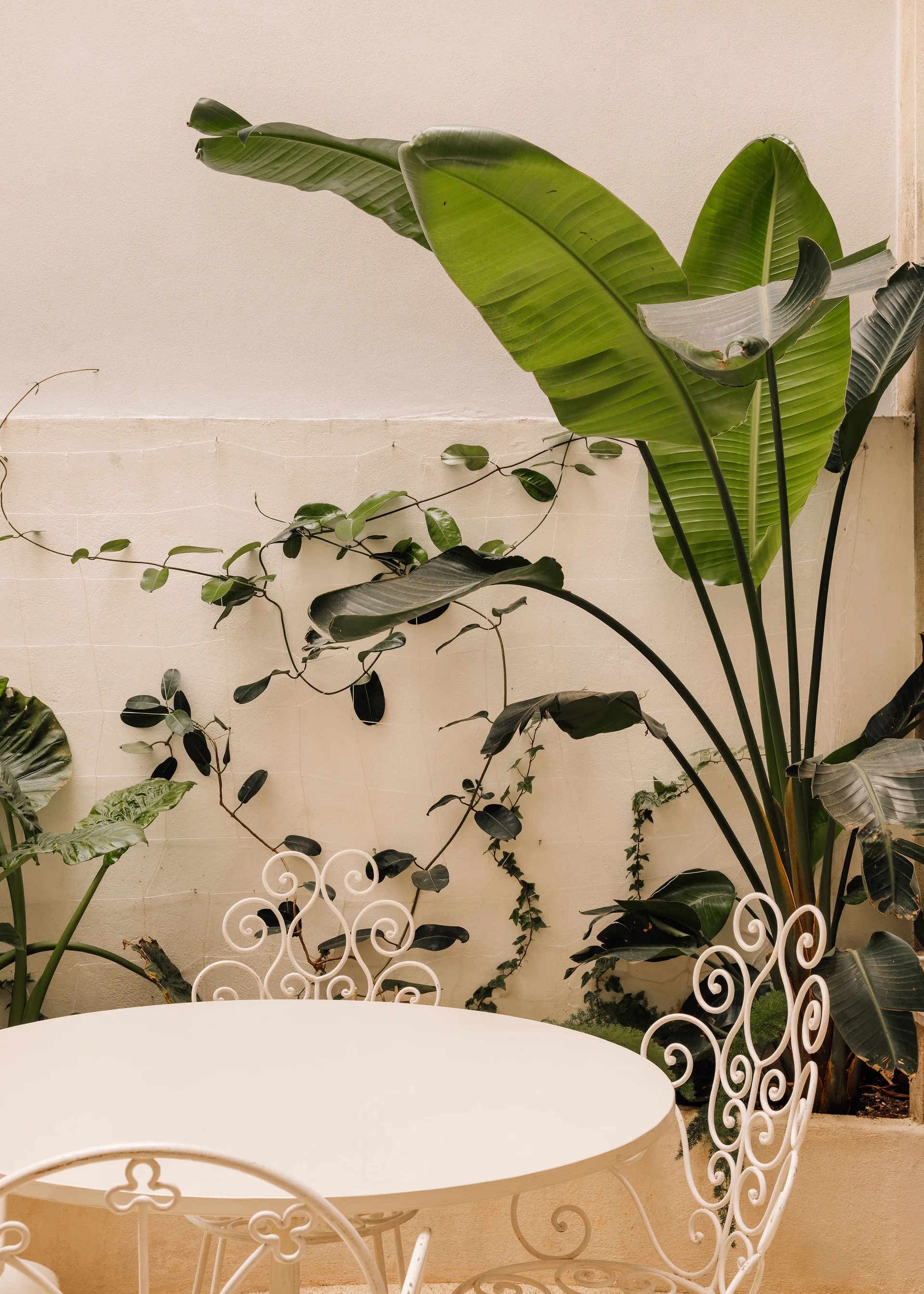 A white metal bistro table and scrollwork chairs sit on a patio against a cream wall decorated with climbing vines and large tropical leaves.