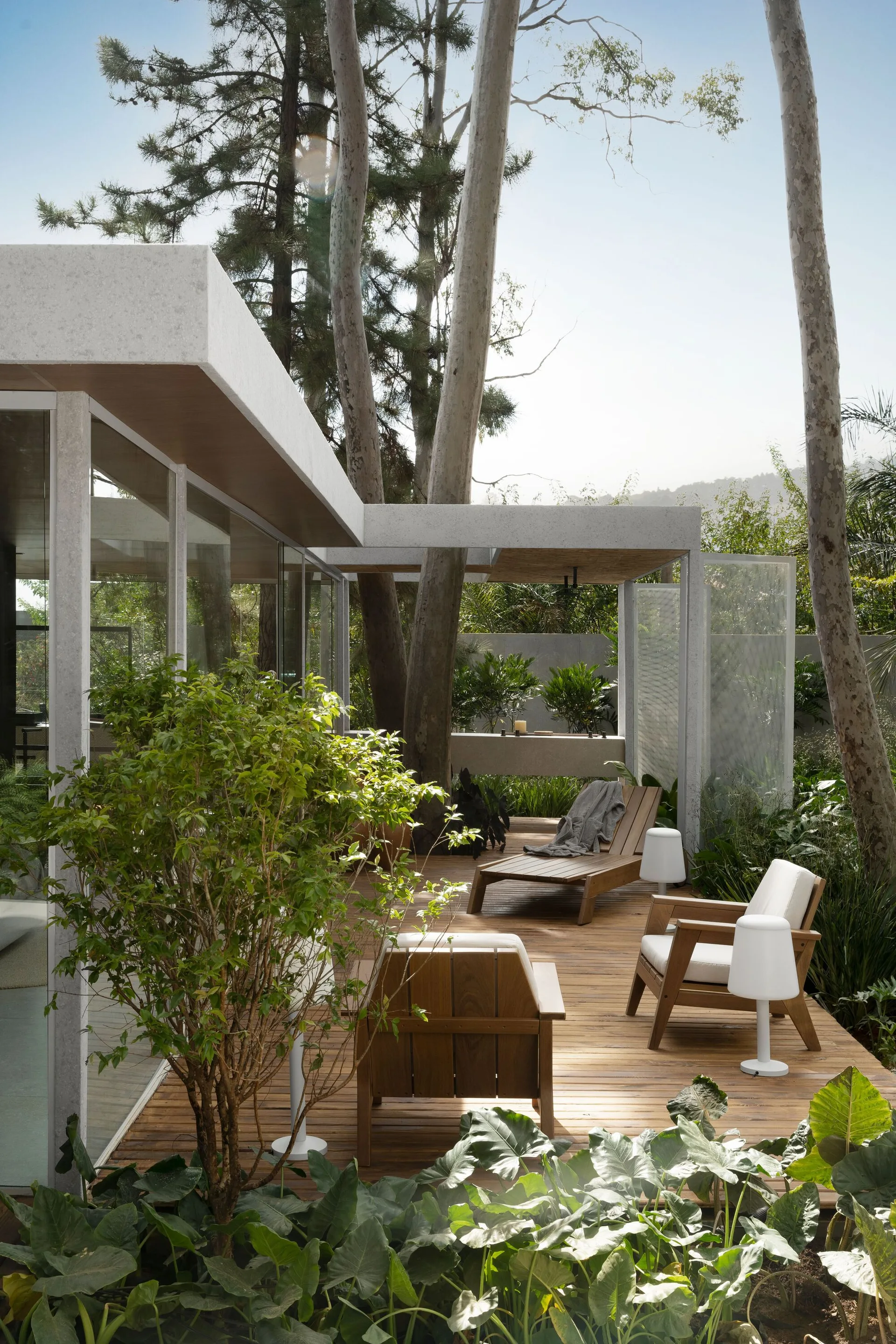 A modern wood deck patio features wooden lounge chairs, white portable lamps, and tall trees growing through the roof structure next to glass walls.