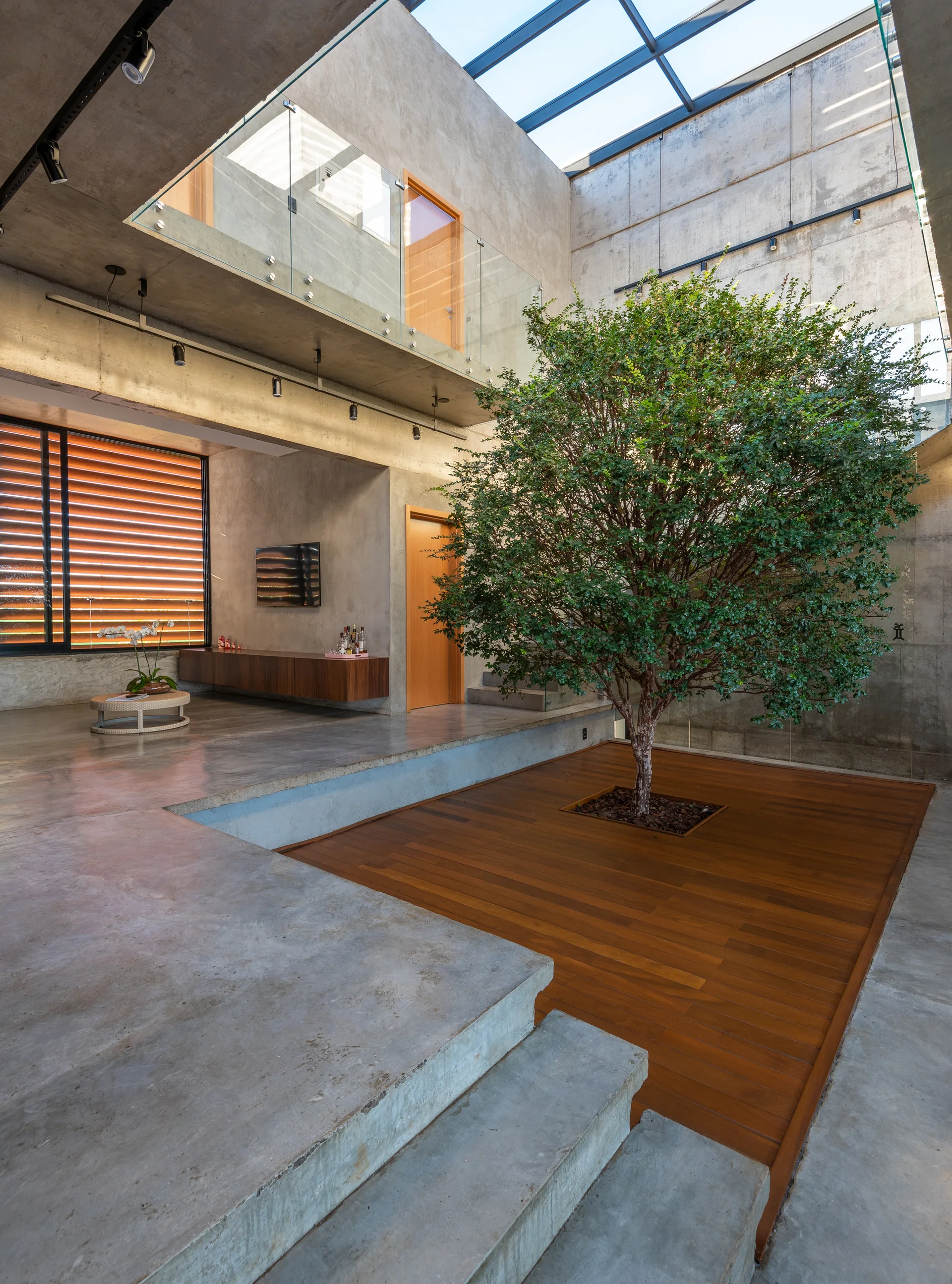A modern concrete interior with steps leading to a central atrium featuring an indoor tree, wooden deck flooring, and a glass skylight.