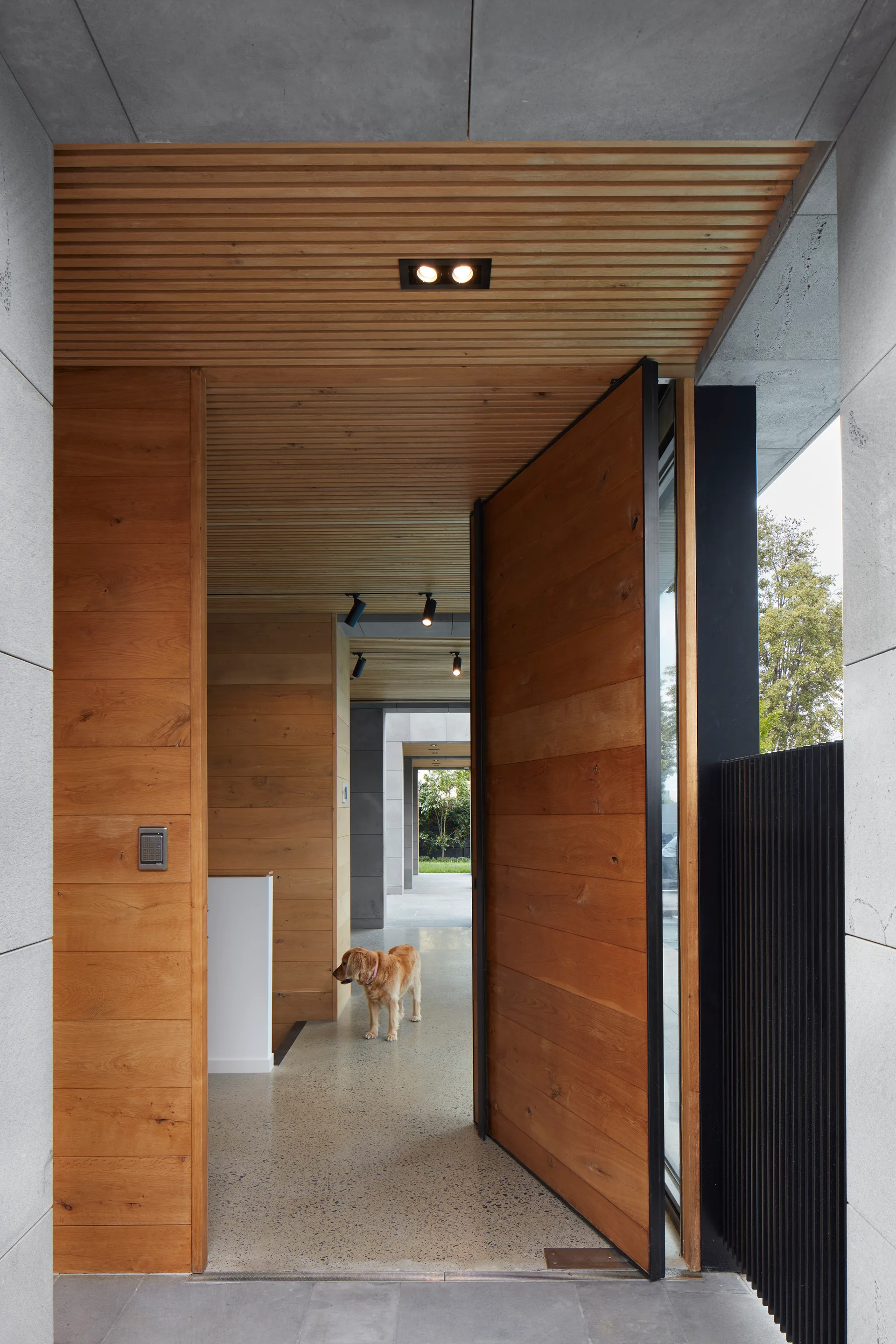 A modern entryway featuring a large wood pivot door open to a hallway with horizontal wood paneling, a slatted ceiling, and terrazzo-like flooring.