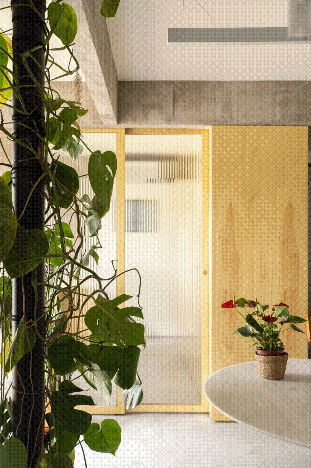 A modern interior features a ribbed glass sliding door in a light wood frame next to an exposed concrete ceiling beam and lush green indoor plants.